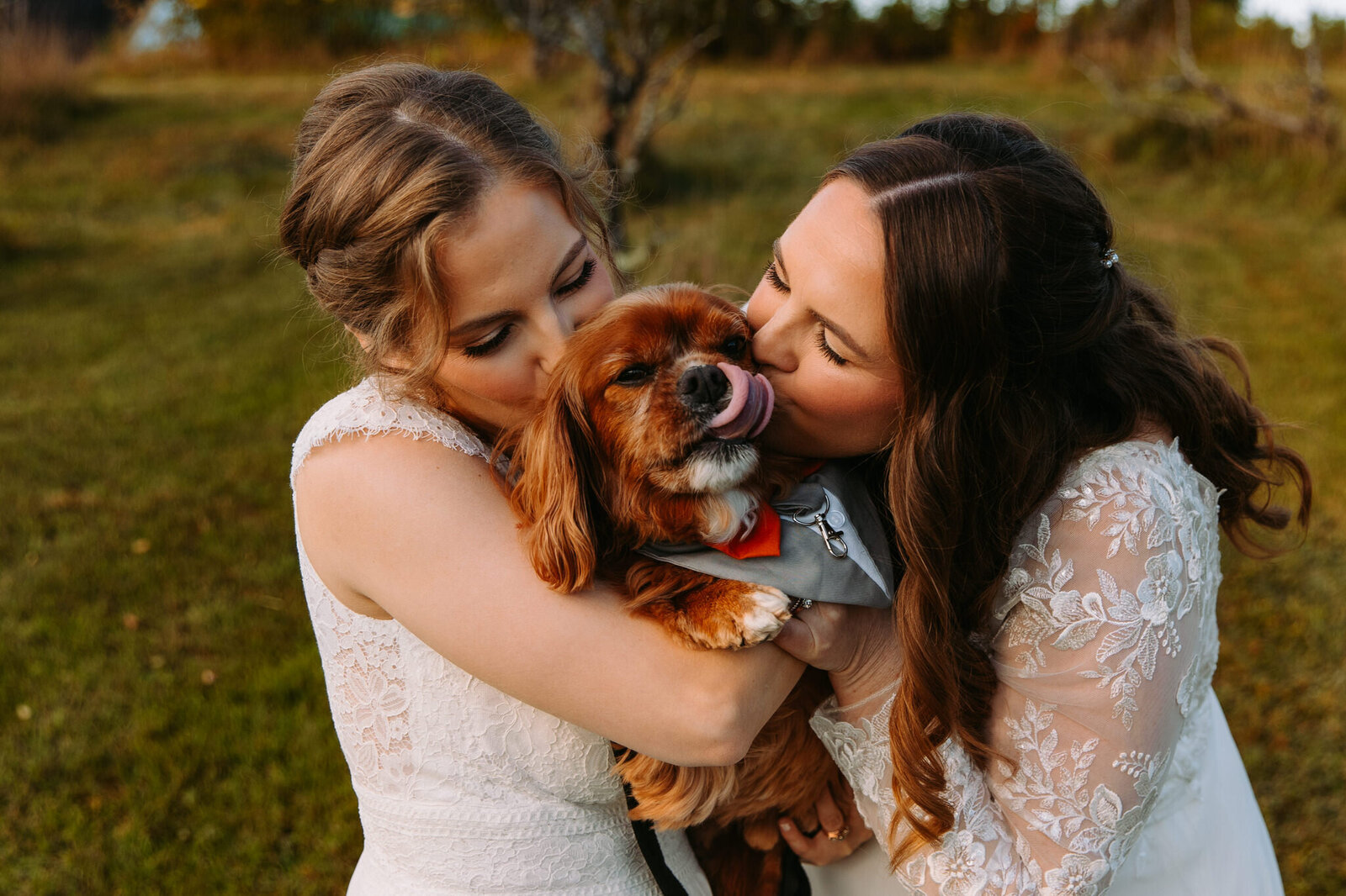 maple-rock-farm-wedding-parsonsfield-maine-new-england-wedding-79
