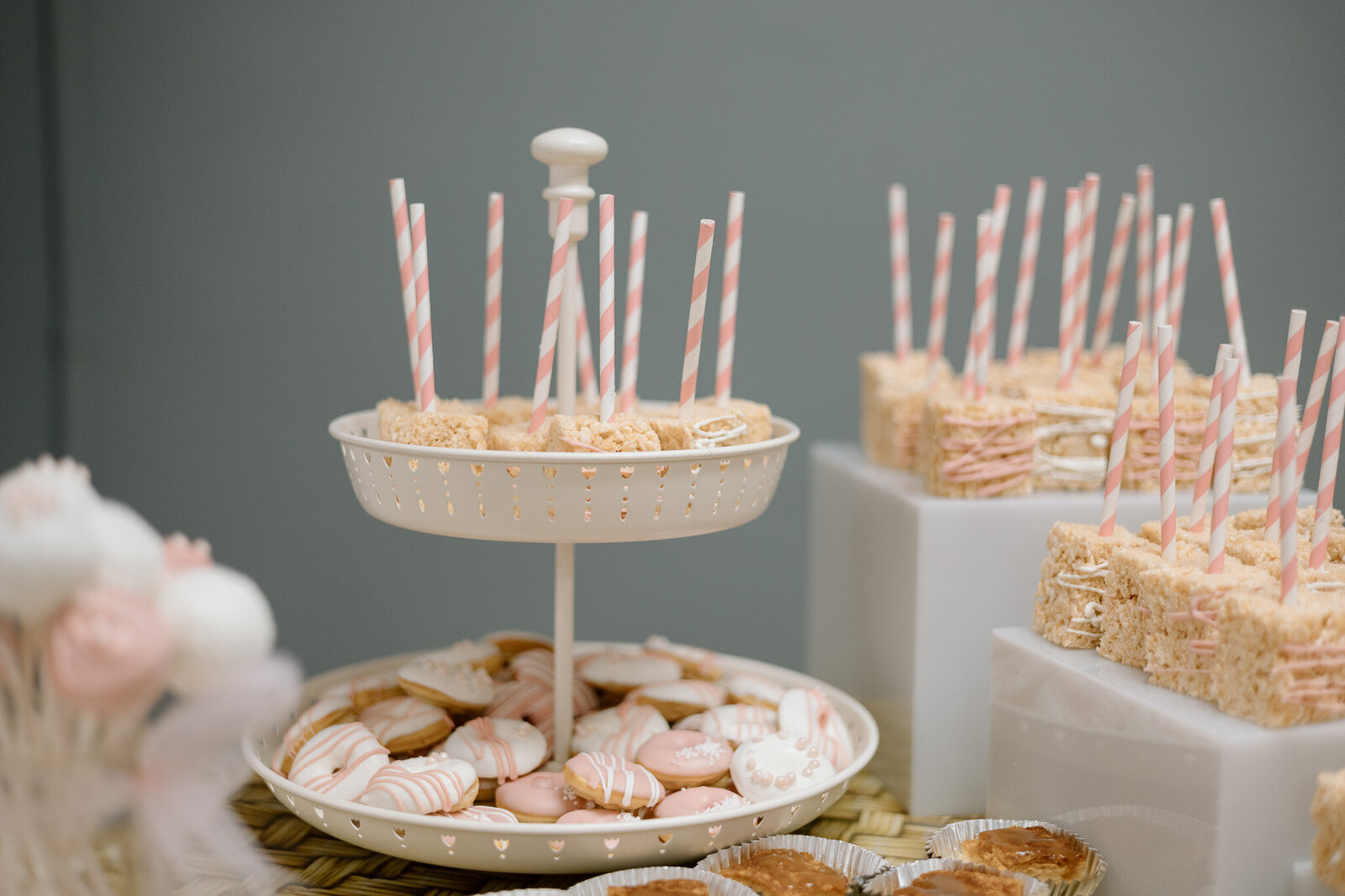baby-girl-shower-photographs-fort-mill-sc (1)