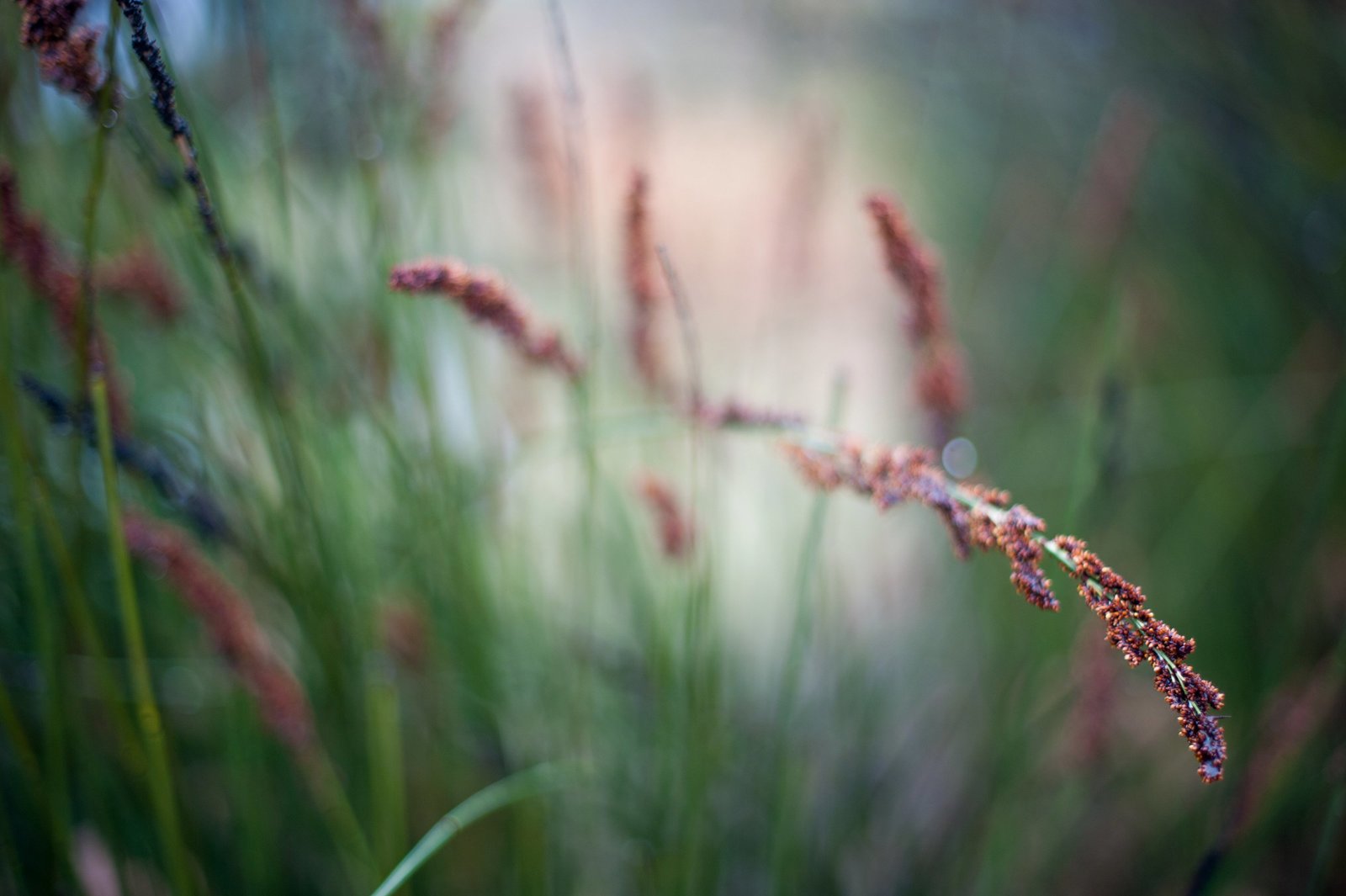 Fargo Moorhead Wedding Photography Kris Kandel 2016 best photographer  (106)