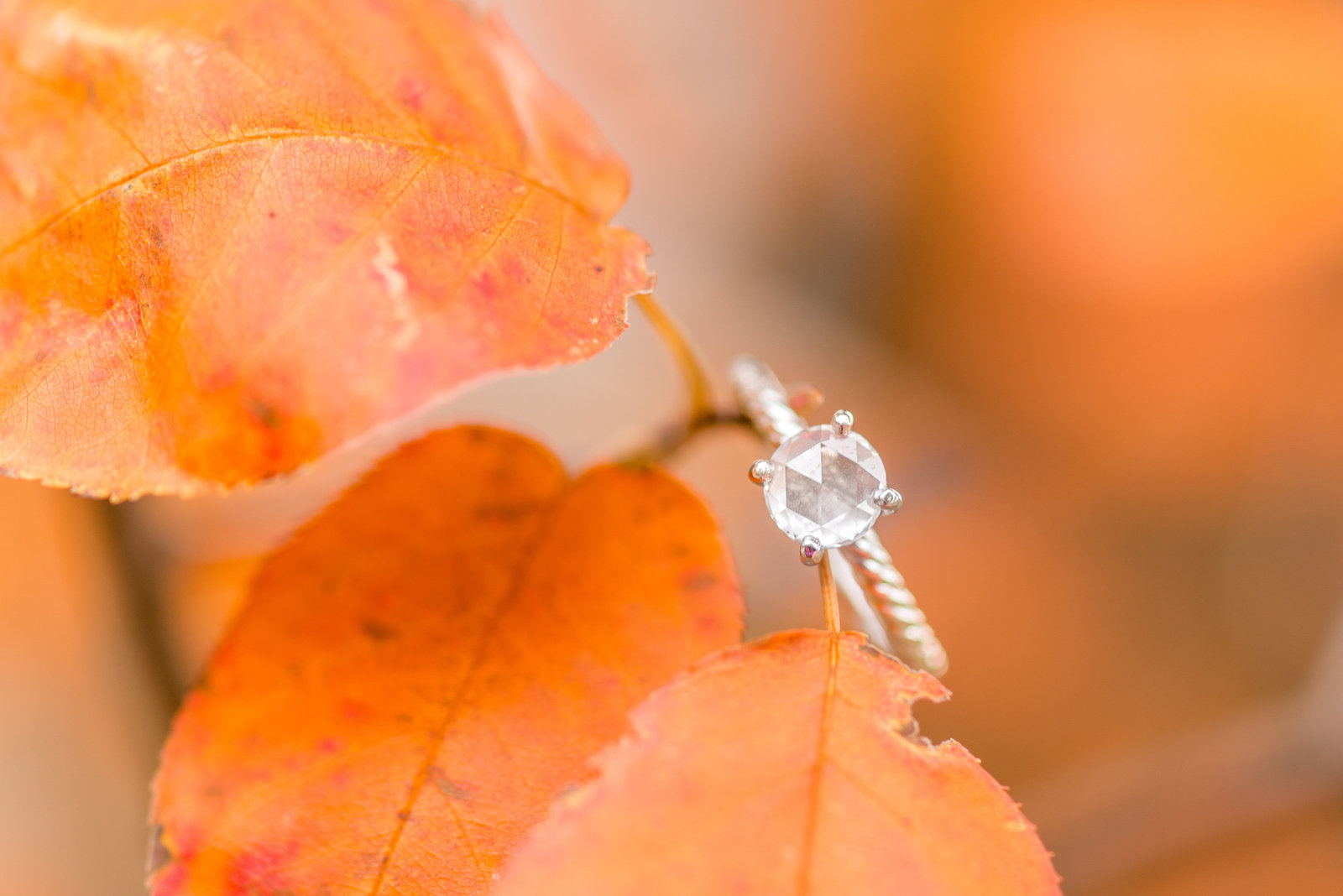 MARYLAND_WEDDING_PHOTOGRAPHER-1008