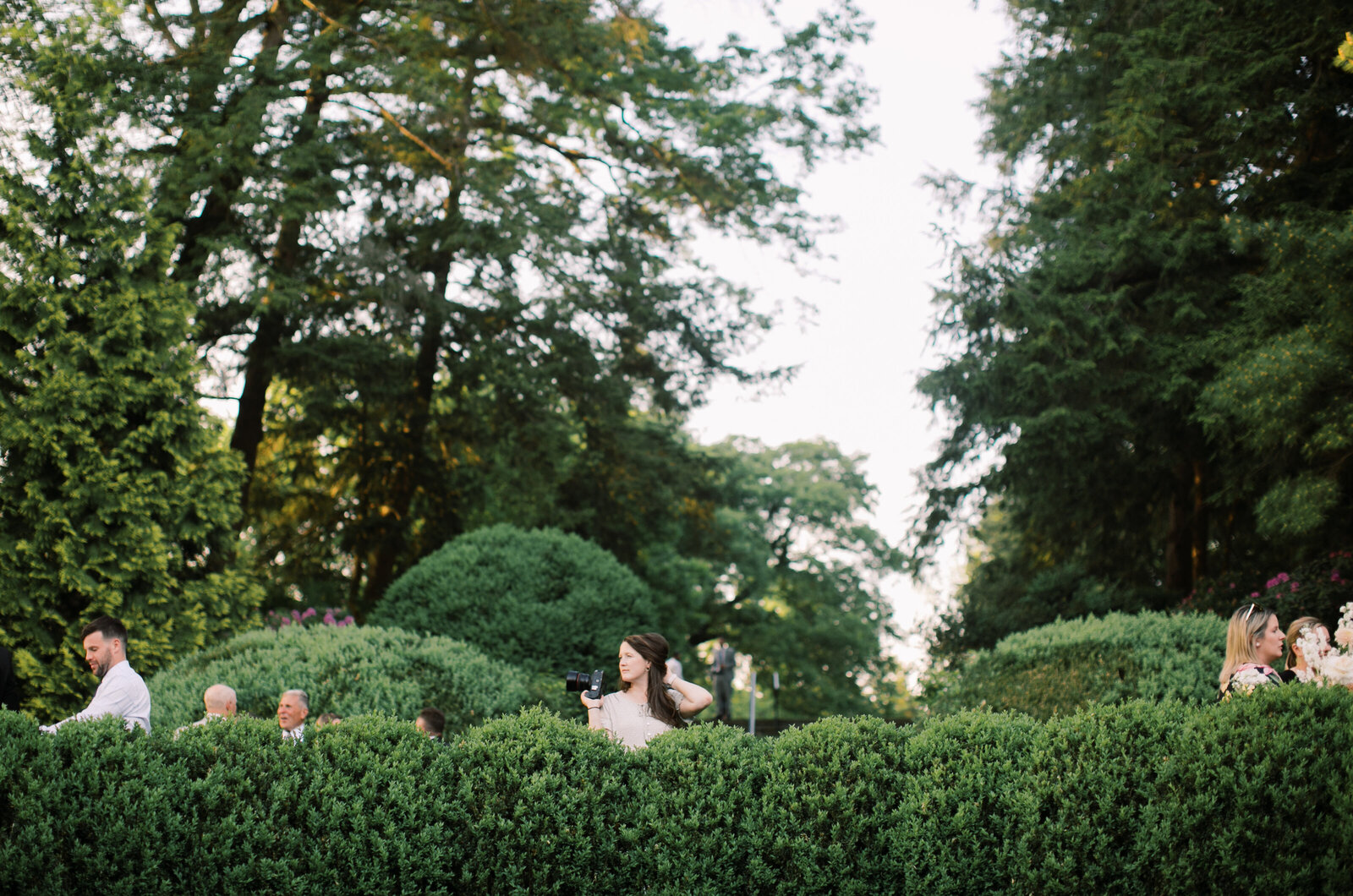 outdoor wedding ceremony with greenery and guests walking around