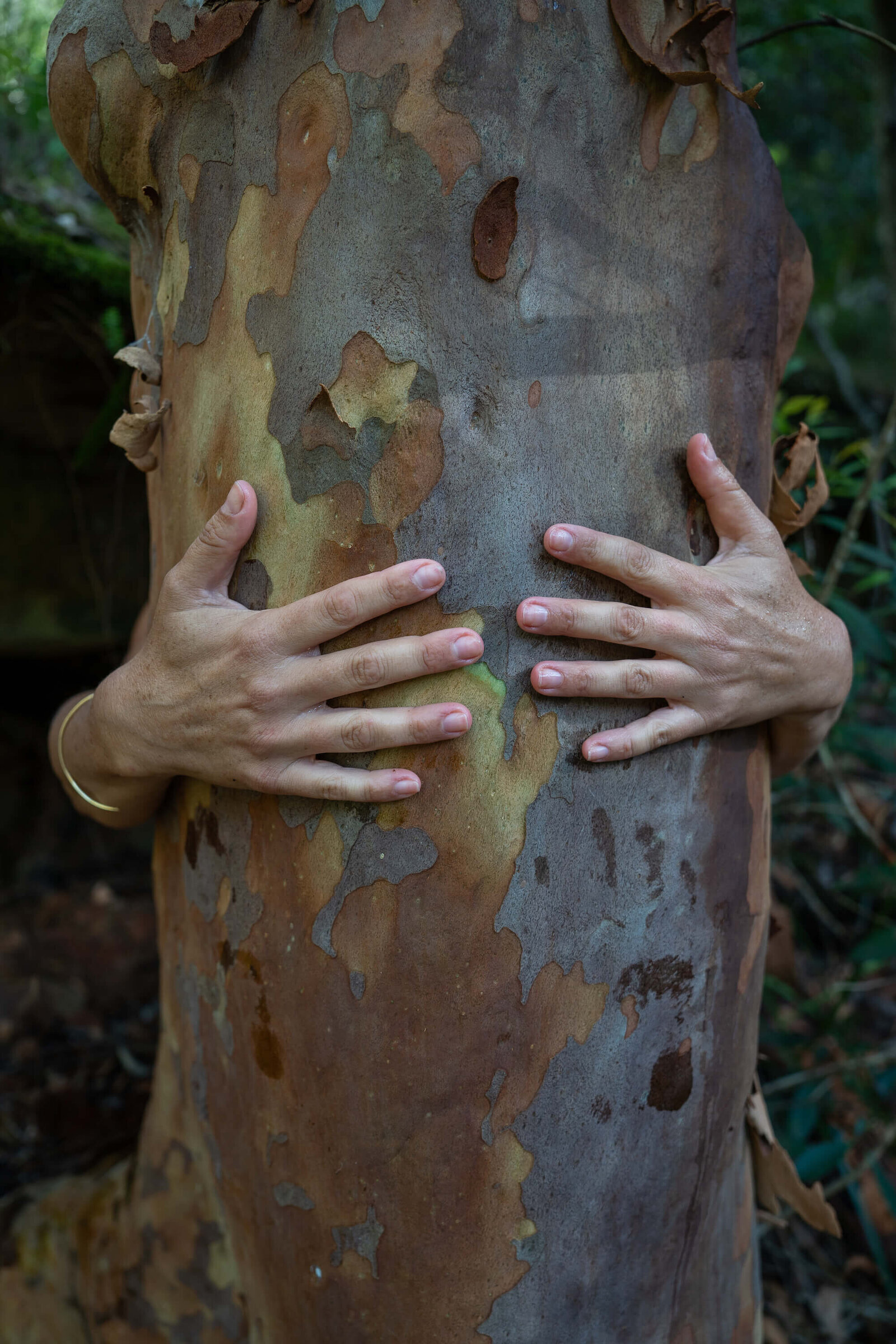 hands hugging tree2