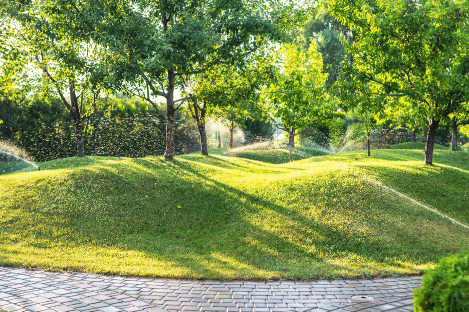 Lawn-Care-Tips-to-Consider-in-Daytona-Beach-FL