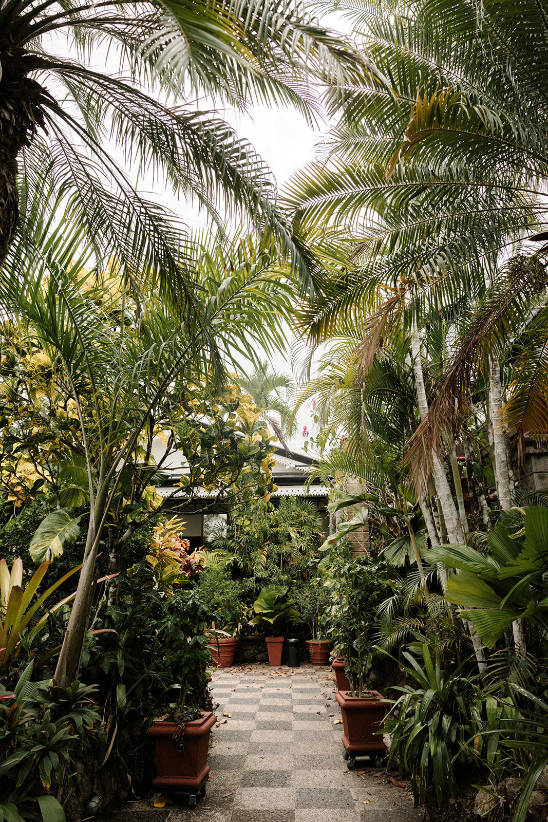 Kinjal & Hunter destination wedding in Costa Rica by Ha Nguyen Photo-9