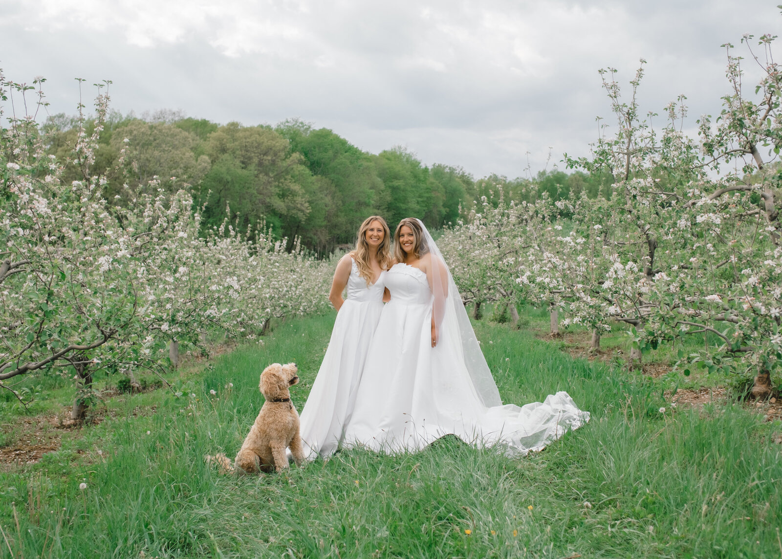 Tented wedding designed by Jubilee Events -- CT Wedding Planners & Designers