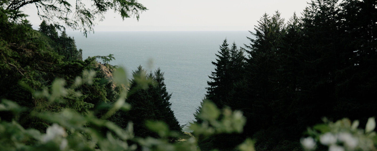 Selects.00_19_59_11.Still024