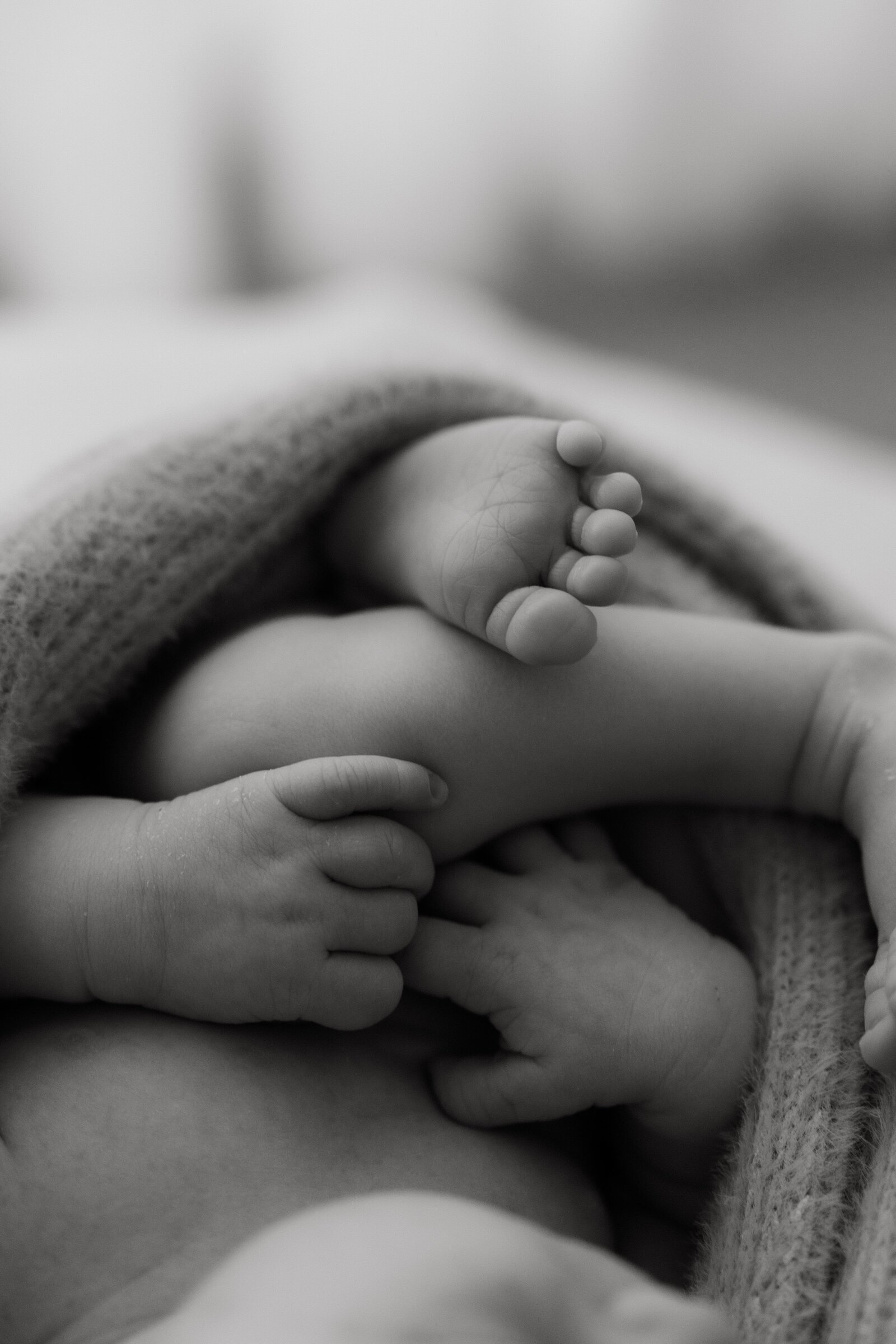closeup-newborn-schijndel