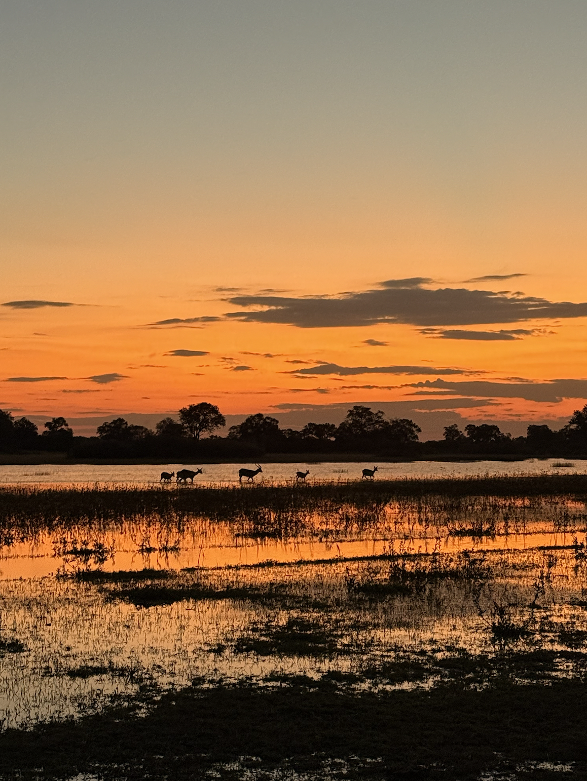 Screen Shot 2025-11-17 at 8.56.15 AM