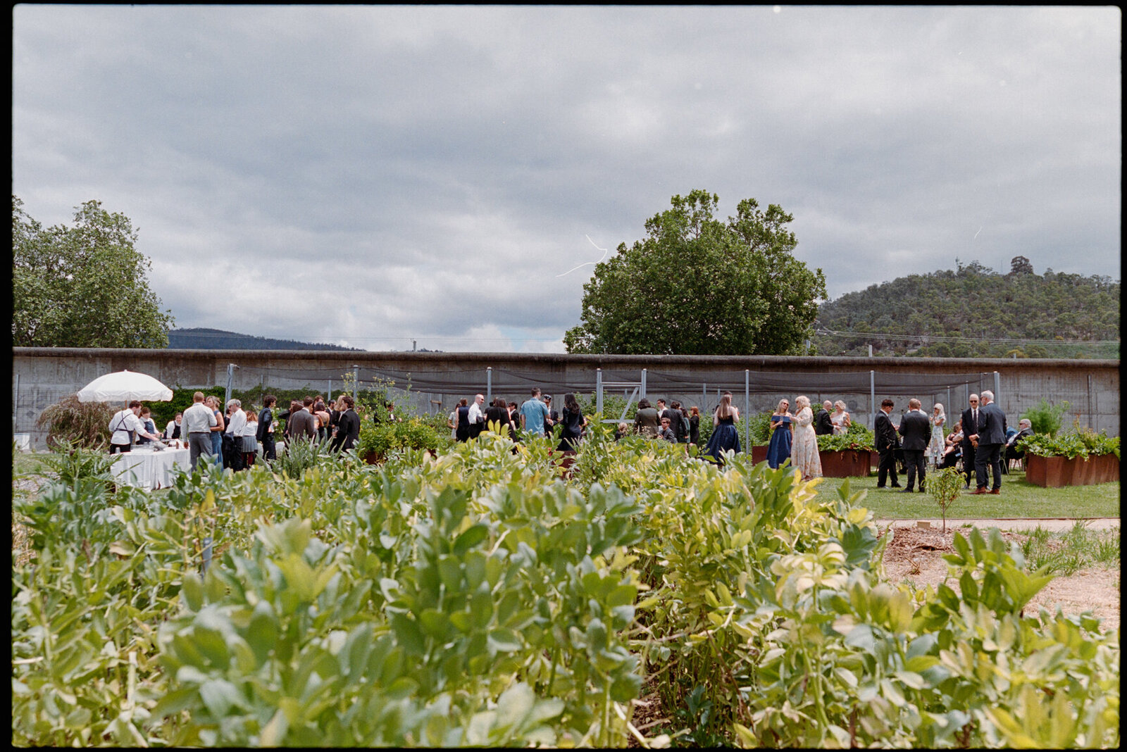Australia-Film-Wedding-Photographer_Zara_Staples-125