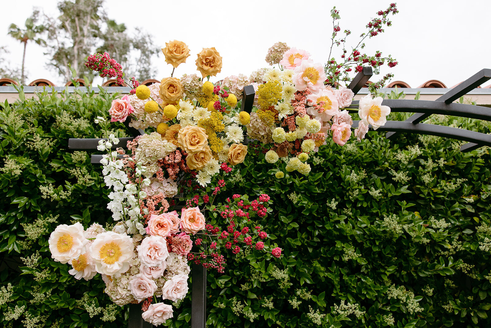 imanleeevents-ranchobernardoweddings-sandiegoweddingplanner-sandiegoweddingvenuesHillarieDan_Wedding_RanchoBernardoInn (257 of 812)