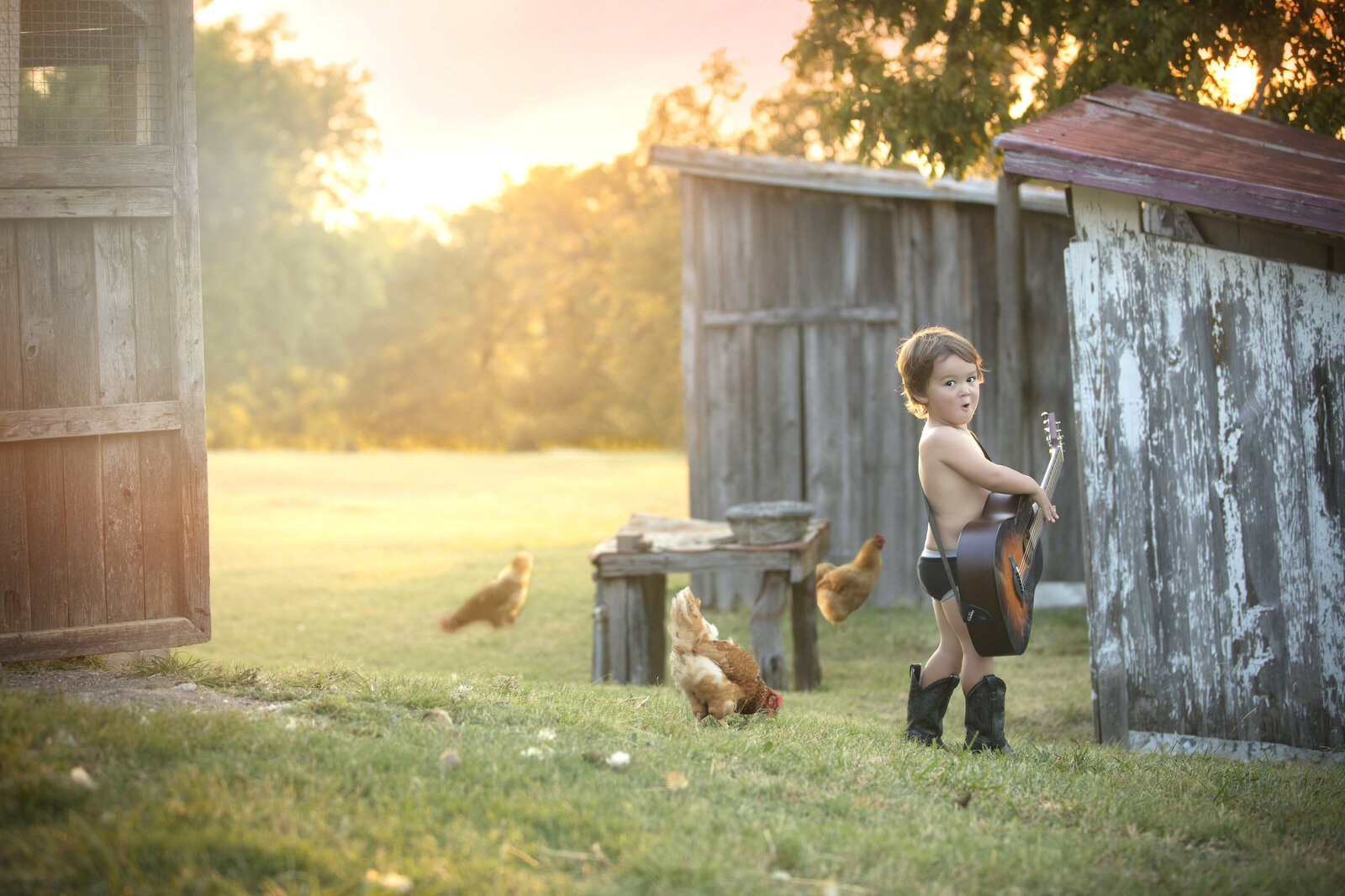 Young boy playing guitar to. Chickens at Luscombe Farm in Texas