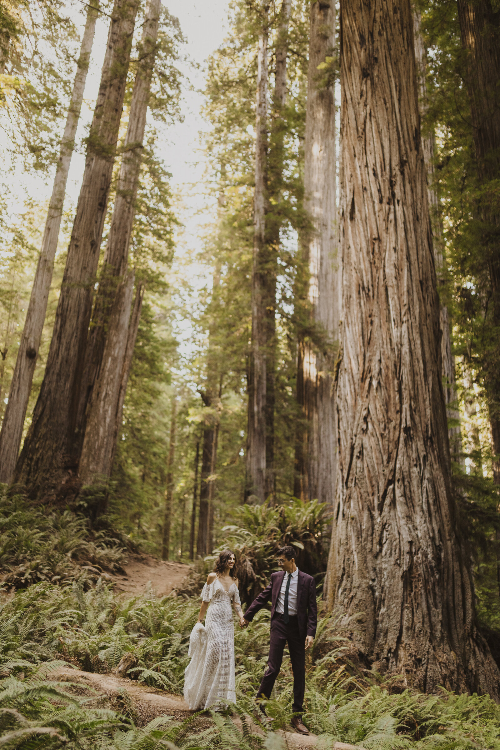 California Redwoods Elopement + Jedediah Smith Redwoods Elopement