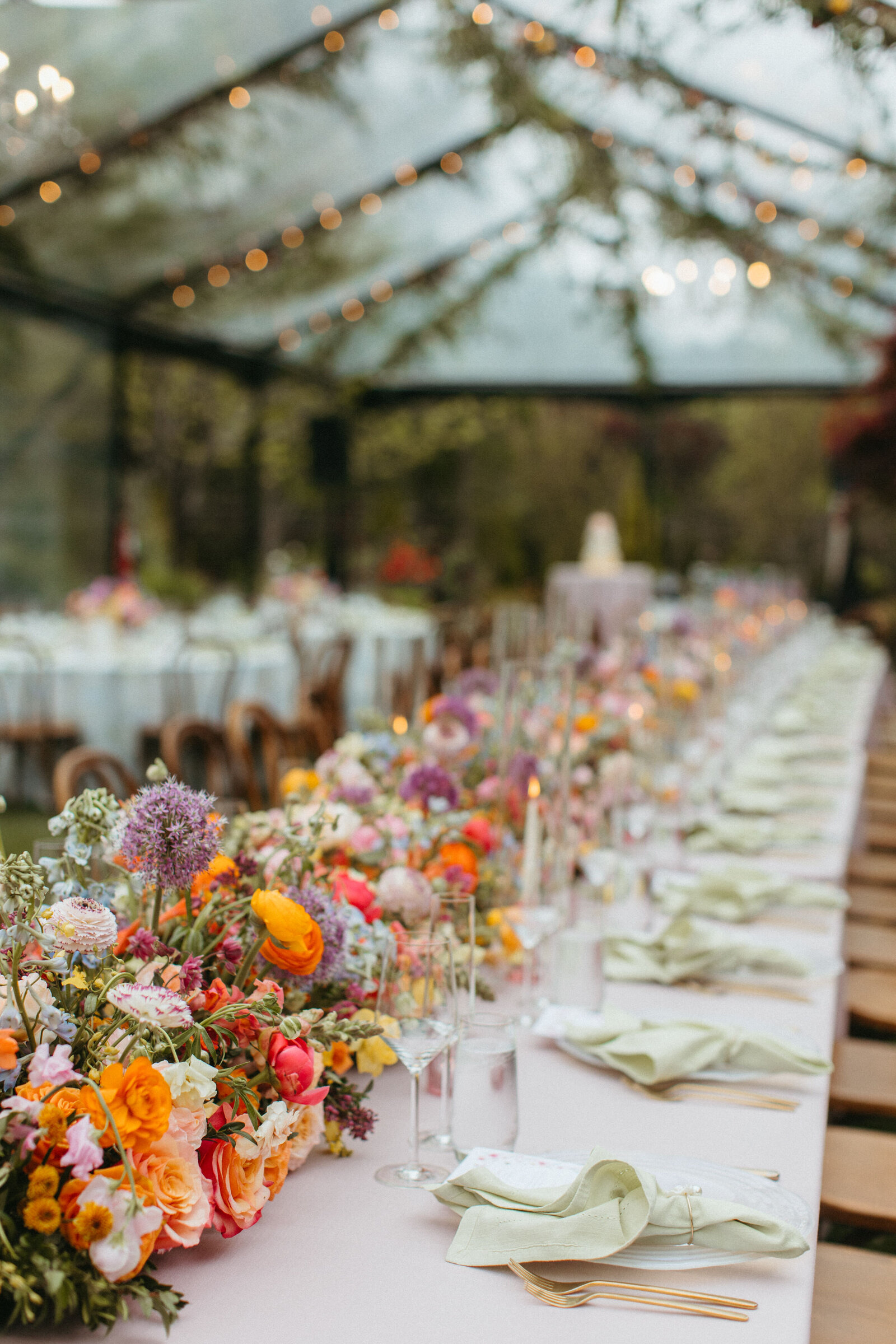 Persian Sonoma Wedding3
