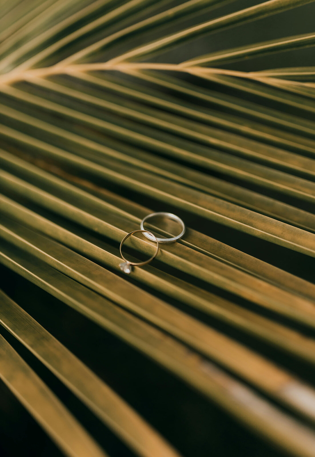 pexels-alexander-mass-748453803-32407529_websize