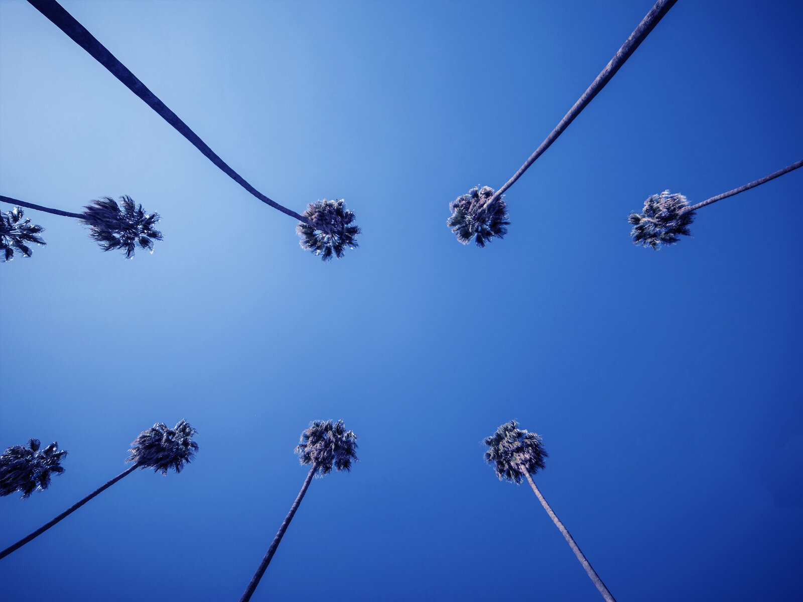 Photograph by Joe from Unsplash.com and designed to Walk-On Capital branding. 