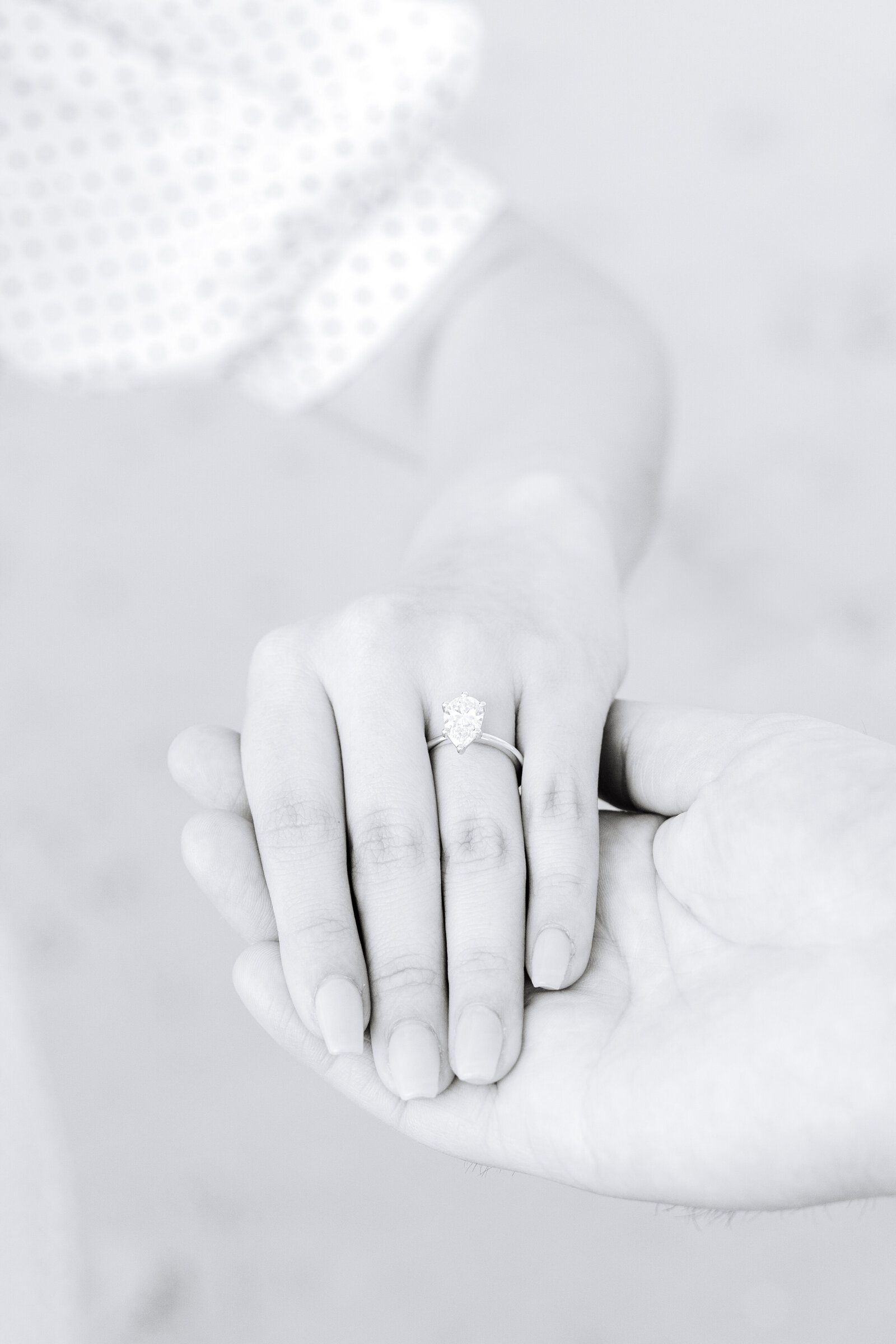 Seaside Monterey Beach Proposal 25