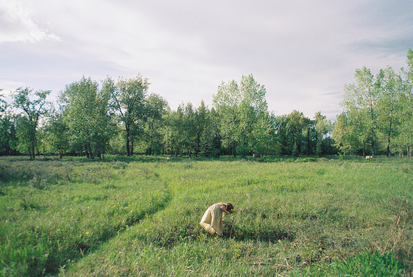 okotoks-film-photographer-ivaniaberubephoto-2