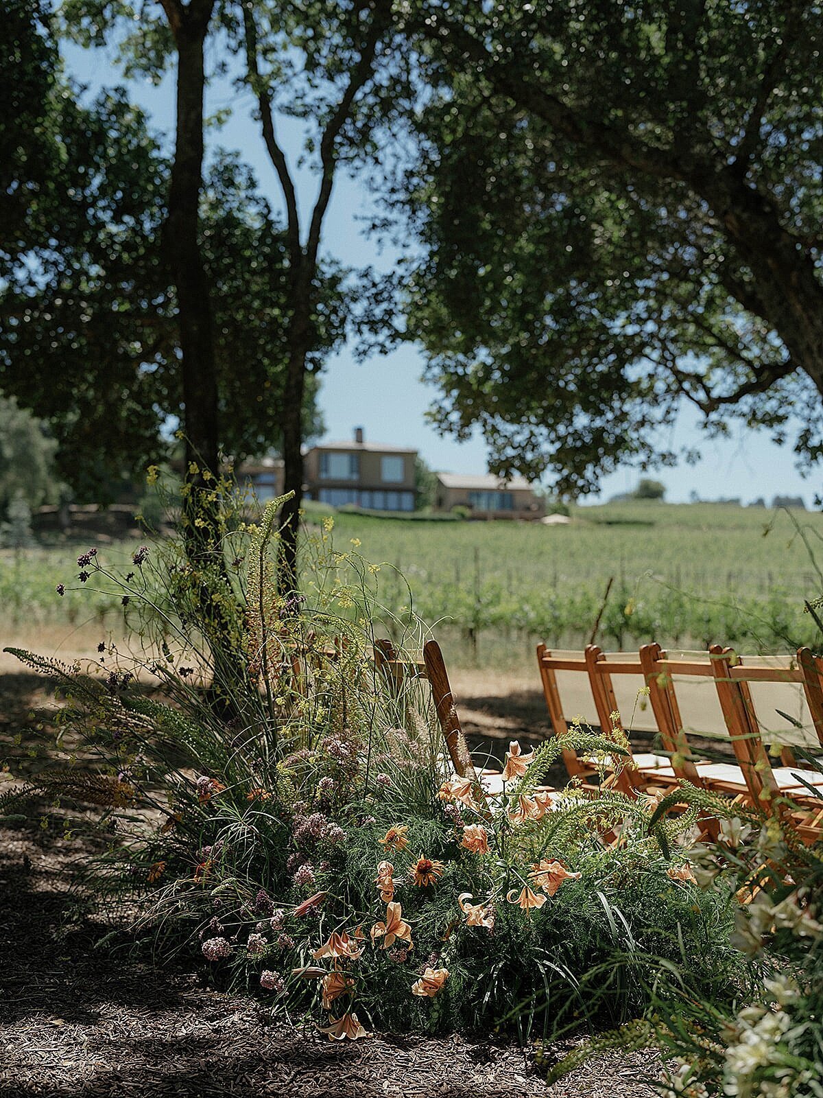 sonoma-vineyard-estate-wedding-6