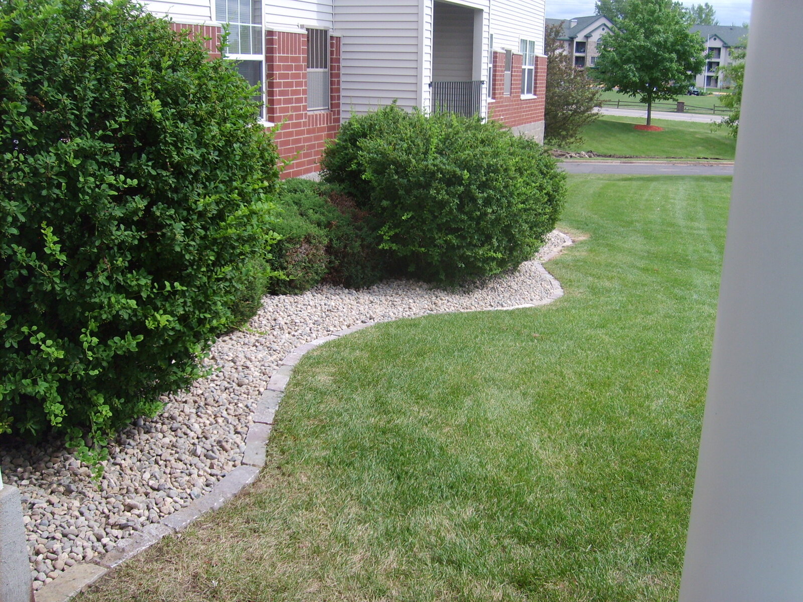 commercial landscaping around white apartment building