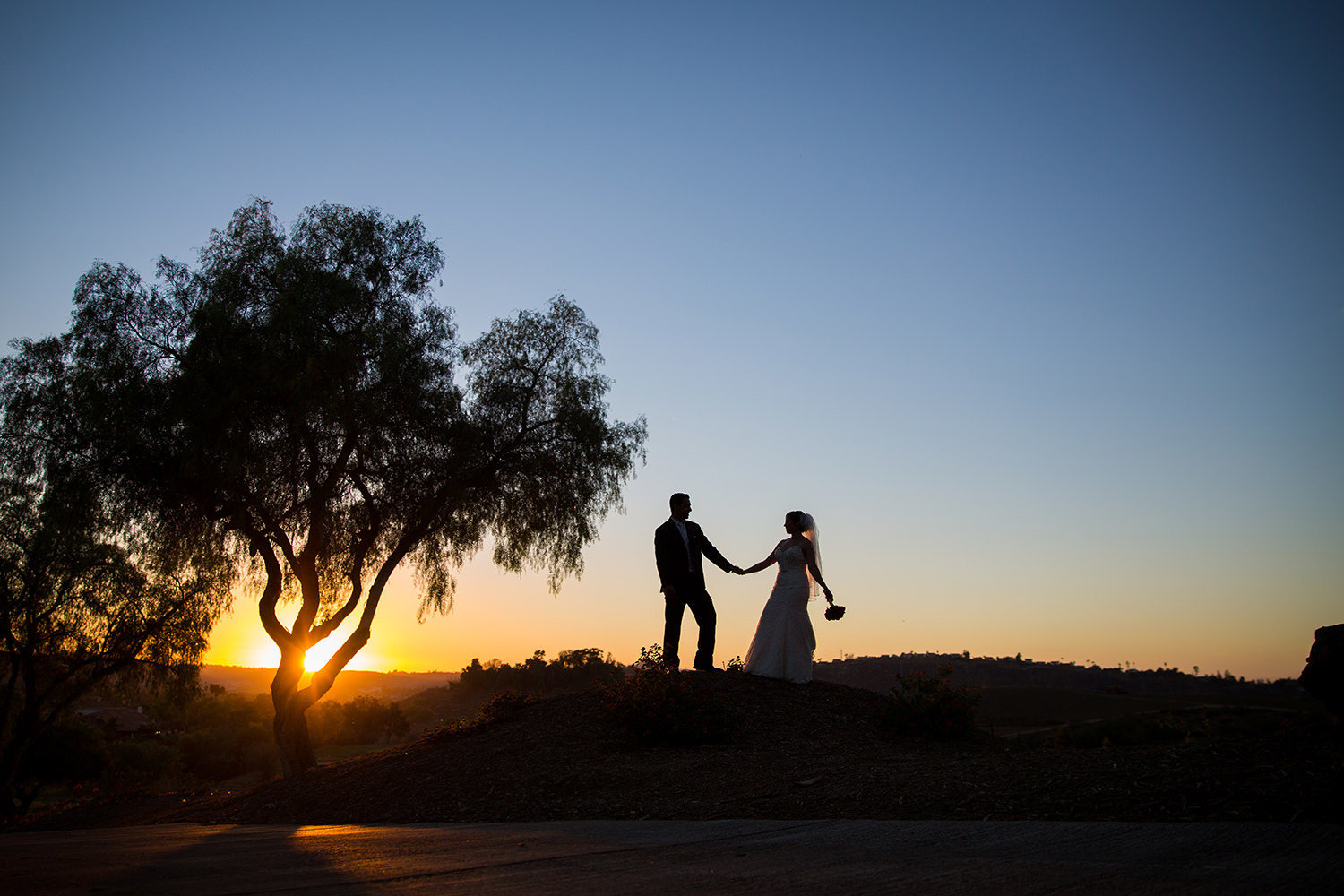 vibert sunset picture at steele canyon with bride and groom