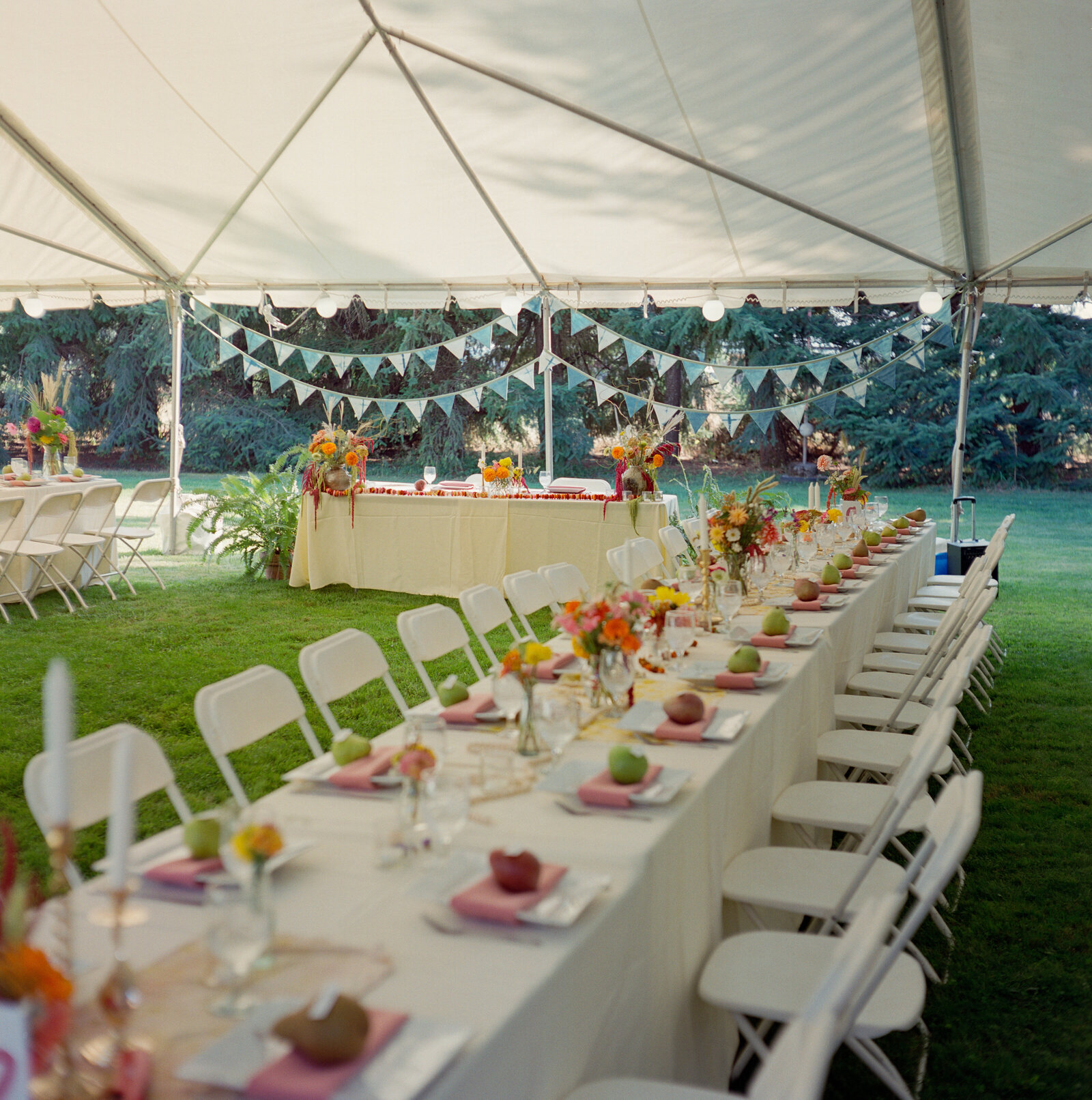 2025-ace-photography-bed-and-breakfast-hood-river-oregon-wedding-sneak-peeks-film-47