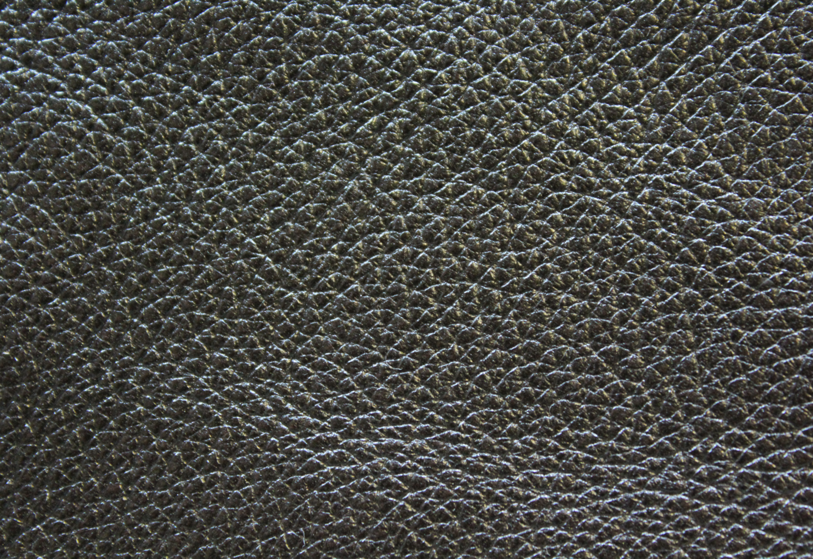 Noveaux Obsidian Leather
