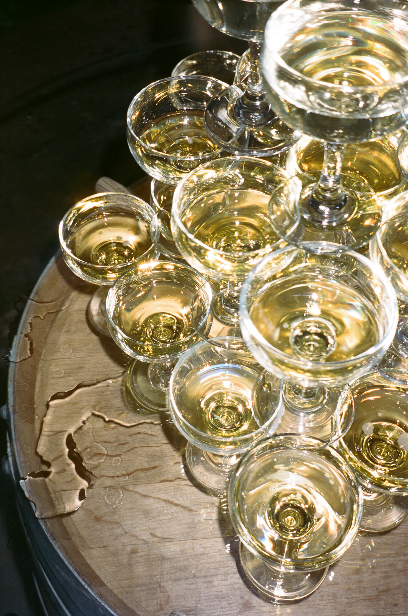 SarahAnneThompson_JMCellars_Wedding-18