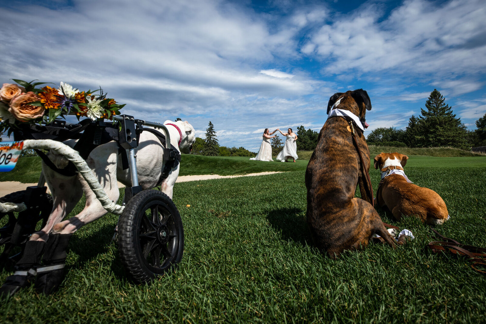 Minneapolis-wedding-photographer-11