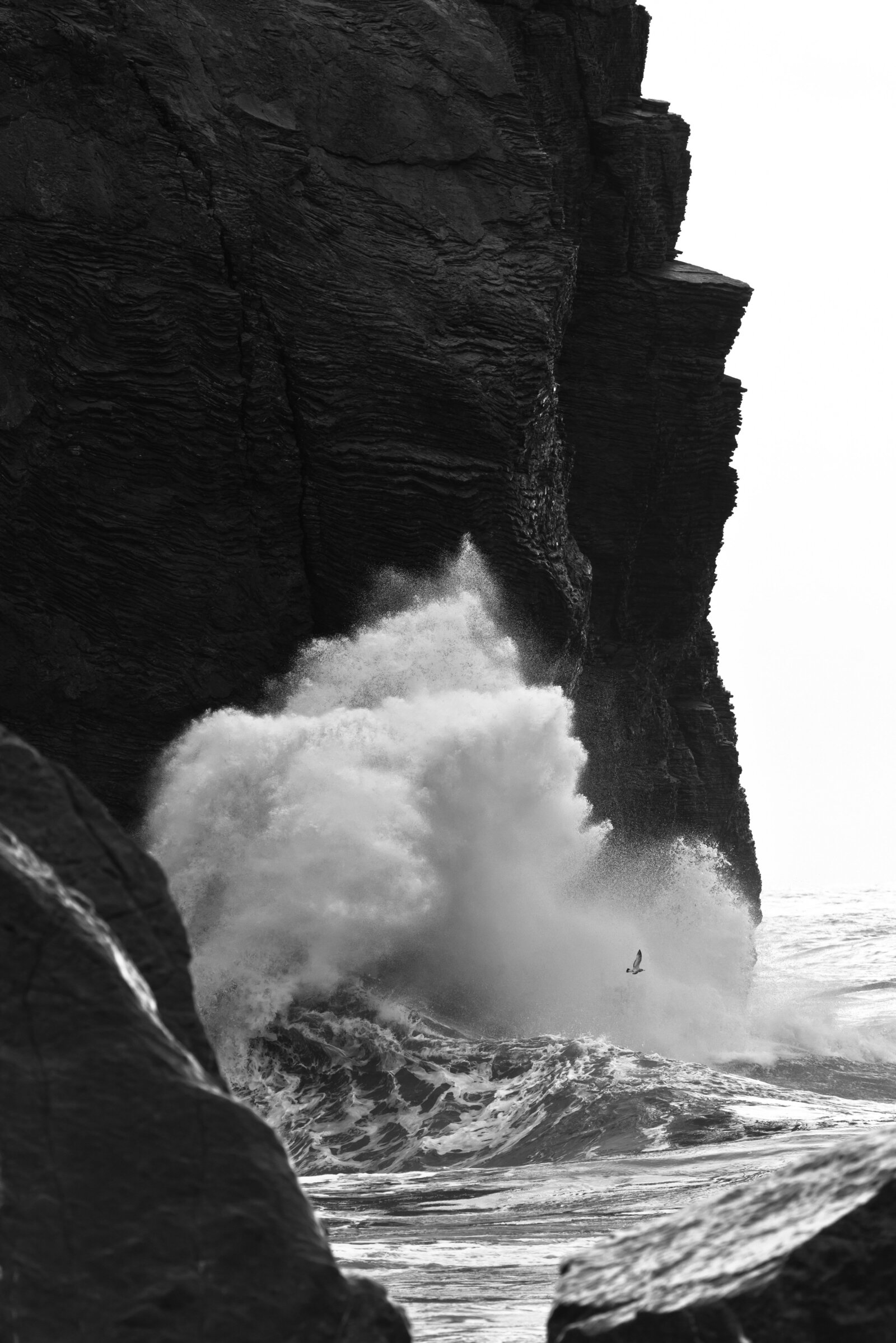 brian-cornelius-Er7pvp0pgJk-unsplash