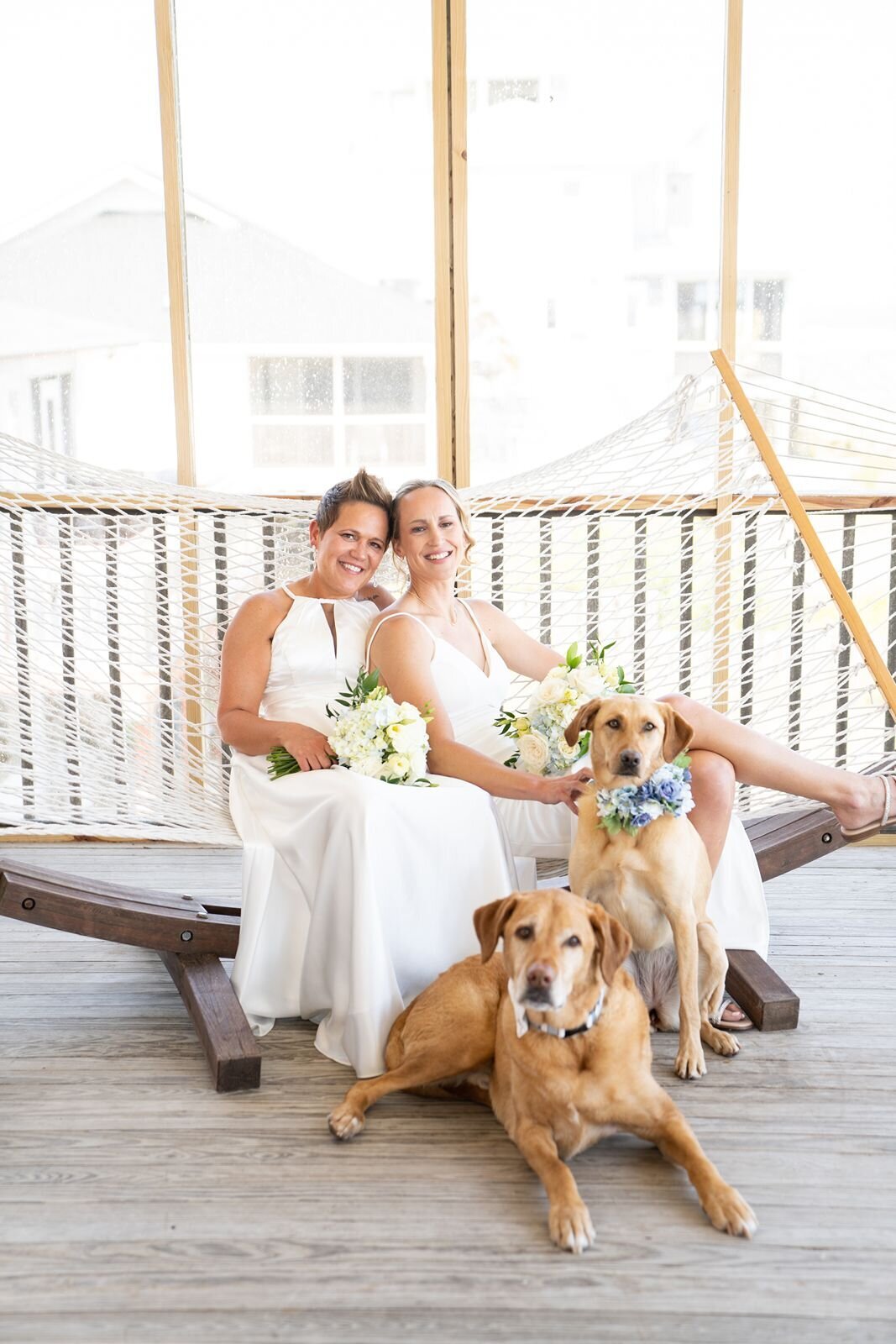 Wedding photo with a dog
