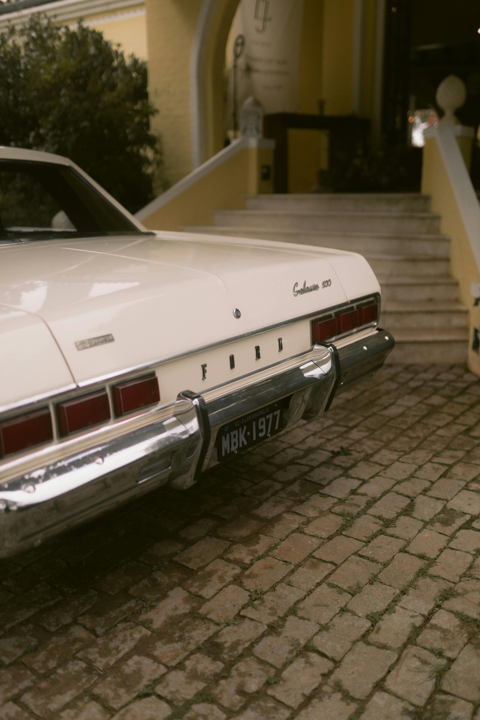 pexels-alexander-mass-748453803-32527837