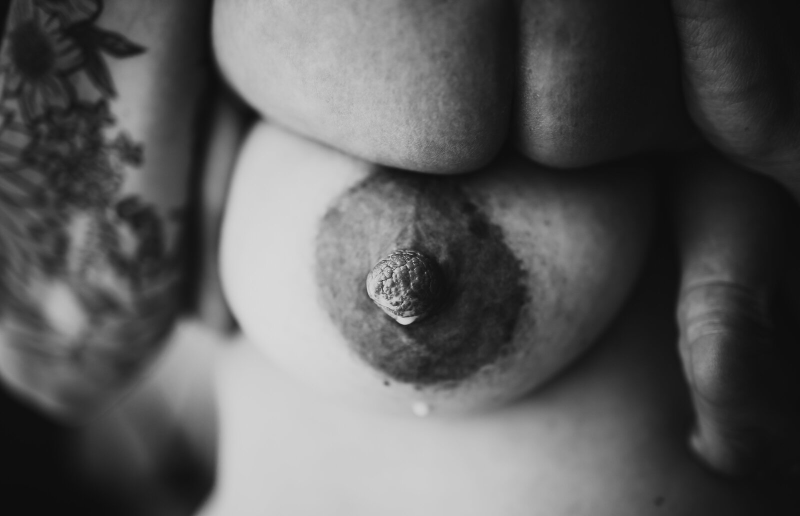 097A3718-Edit