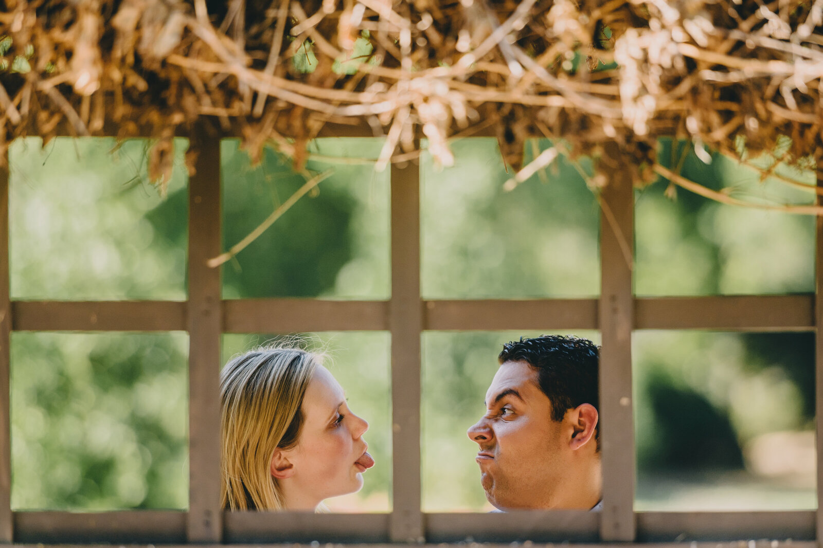 la arboretum engagement photography-220