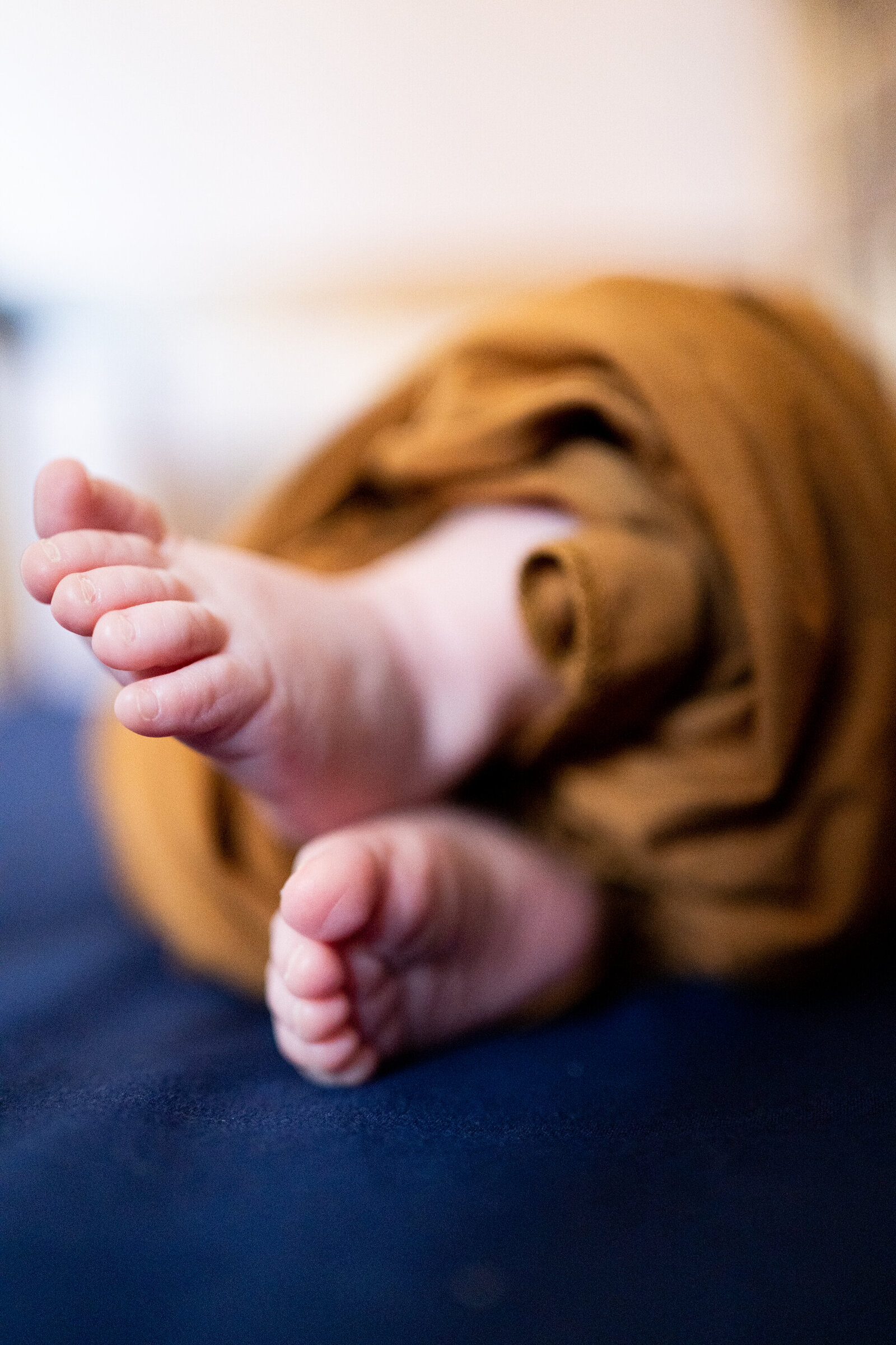 Bowennewborn-102