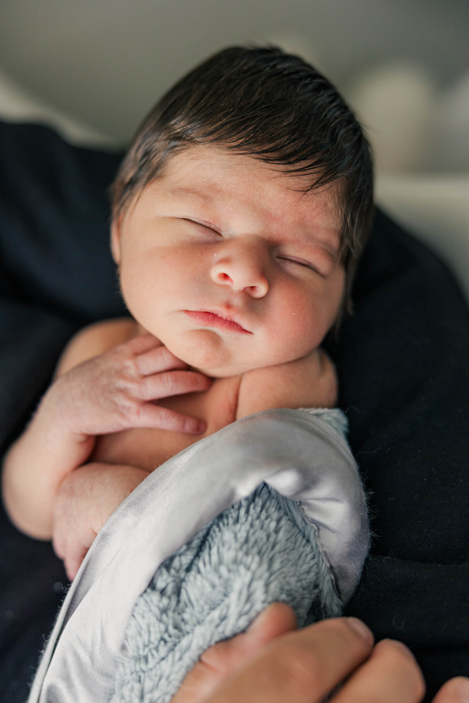 san jose newborn photographer