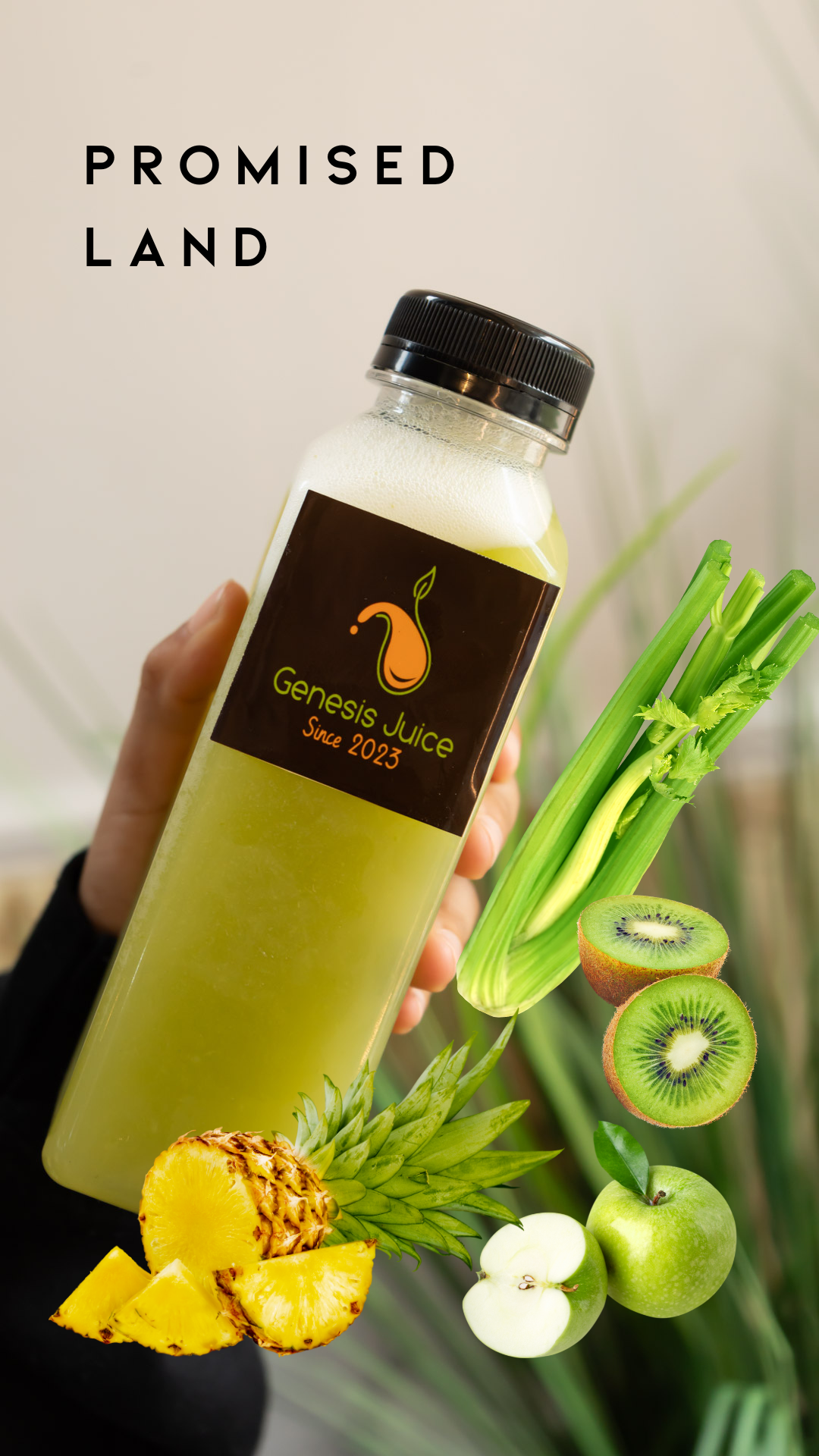 promised land juice