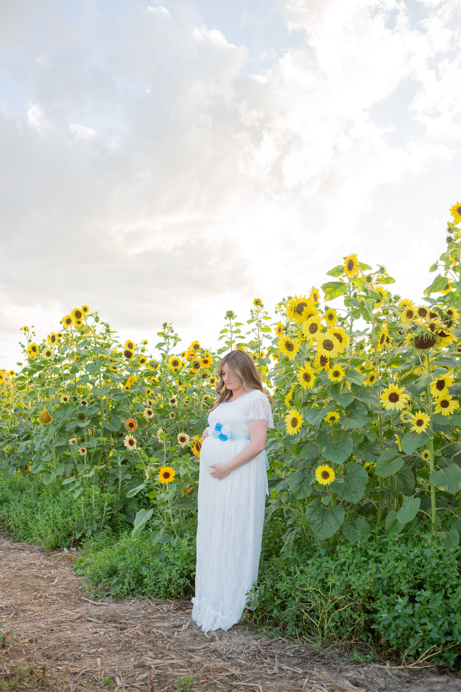 Seattle Wedding Photographer captures Idaho Sunflower Maternity Photos