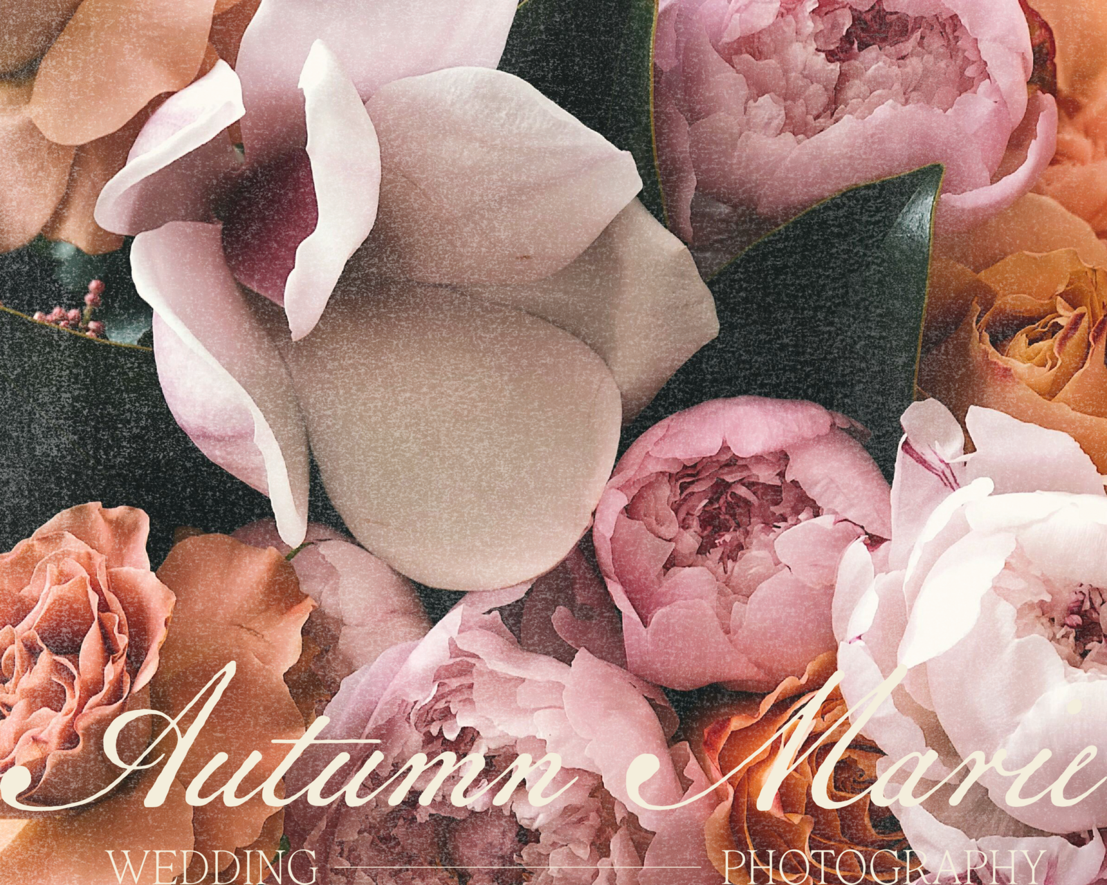 websiteportfolio_autumnmarie-05