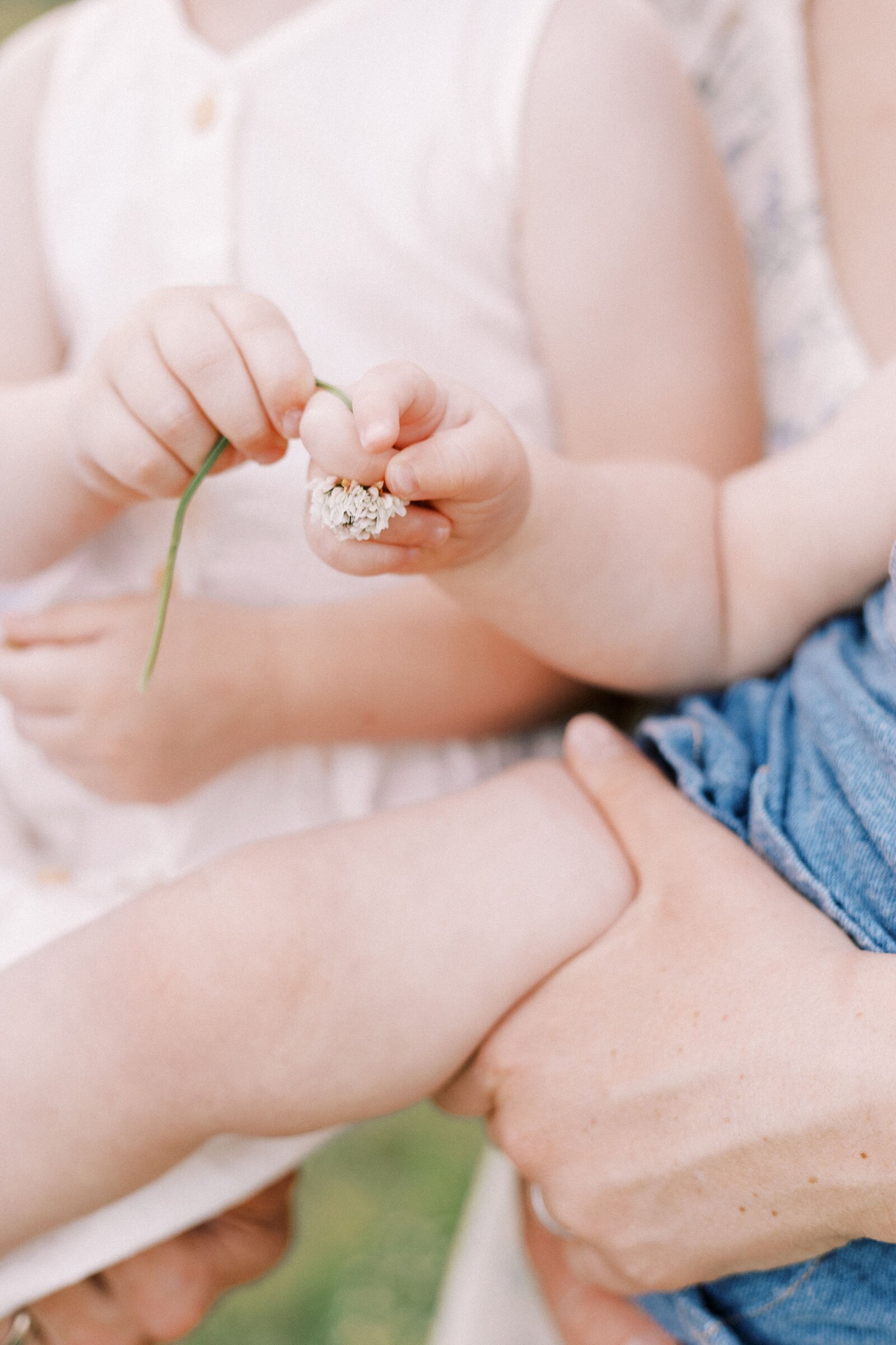 children holding flowers during peoria illinois family photos 