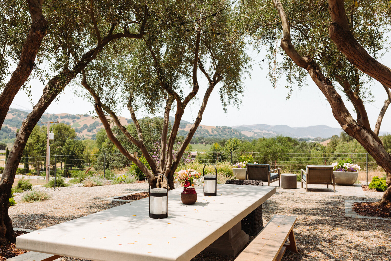 Starter Farm in Santa Ynez by Danielle Motif Photography