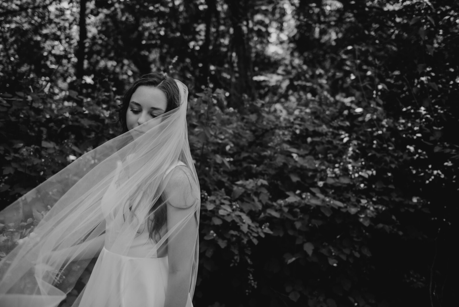A bride stands in the woods with her windblown veil