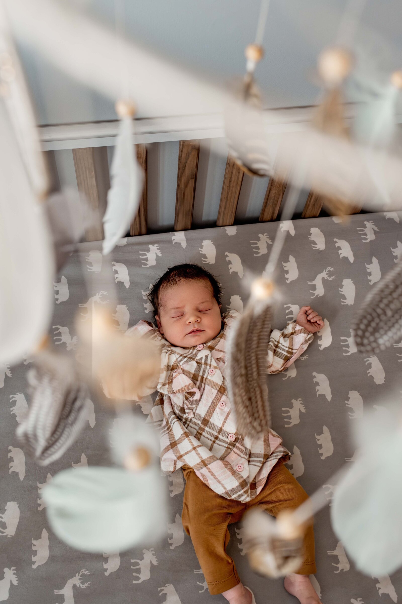 edmonton-newborn-photographer--4