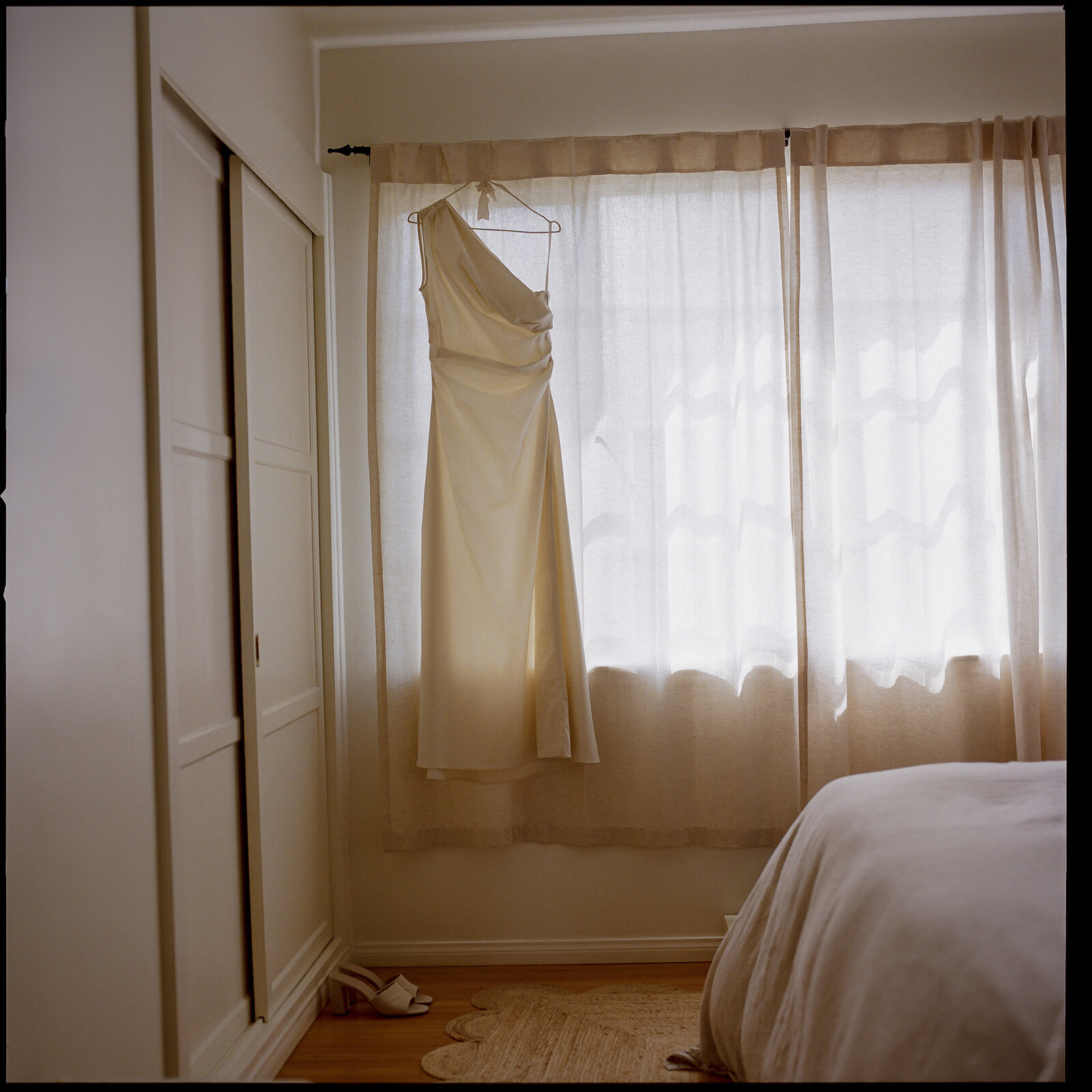 Dani Toscano — SL Web-1