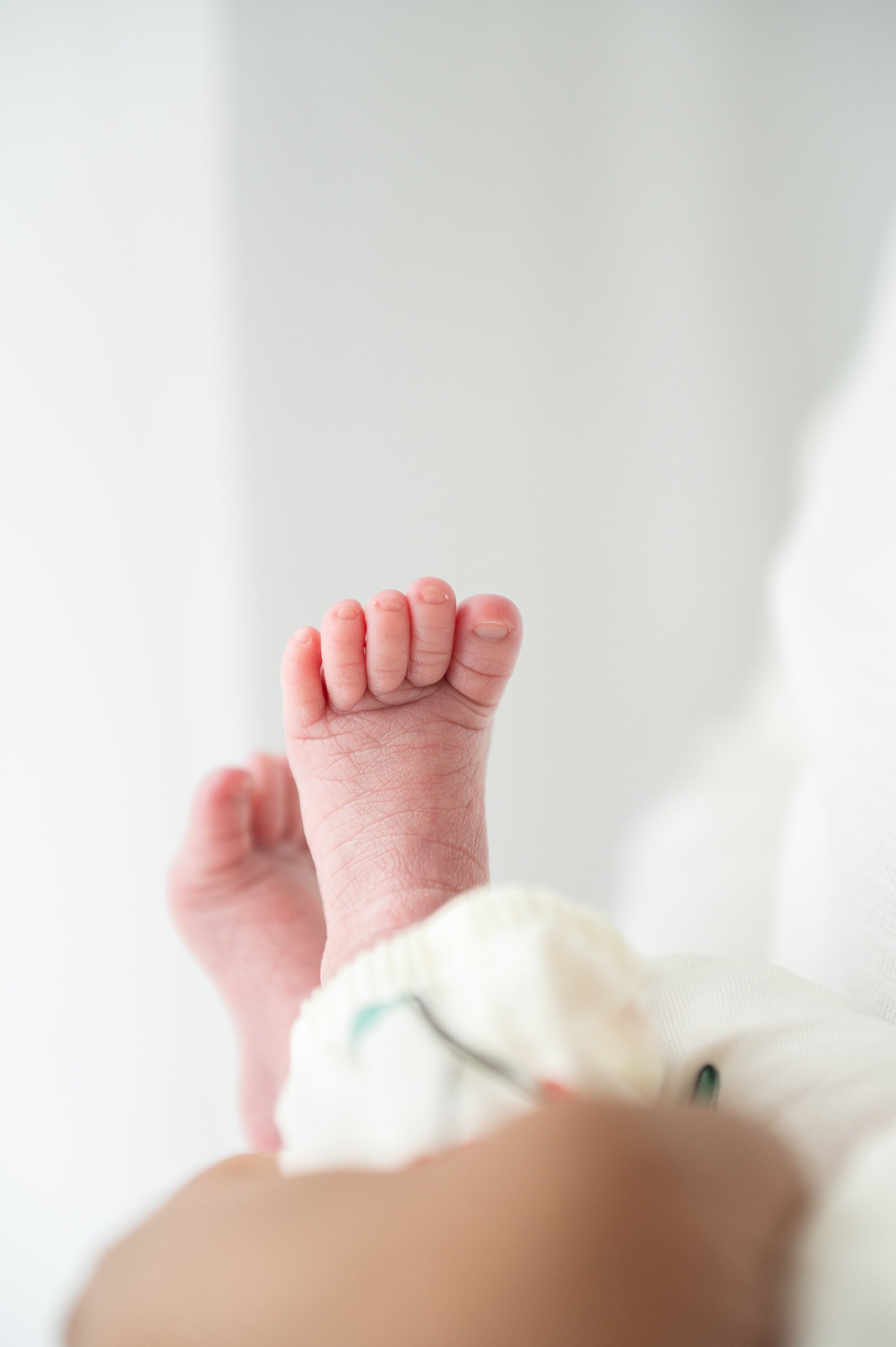 Close-up of a newborn’s tiny feet cradled in a parent’s hands during a lifestyle newborn photography session in Baltimore.

