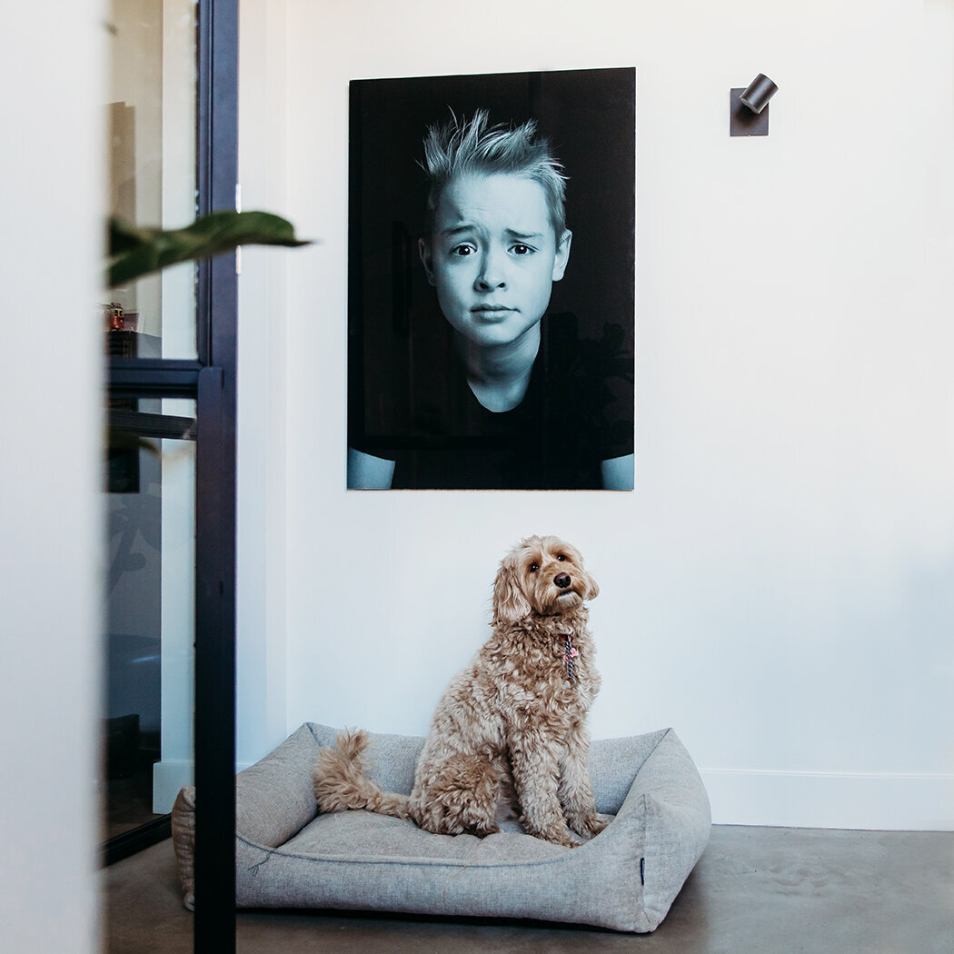 Kunstvanjekind, stijlvolinterieur, kinderportret, fotooplexiglas, breda, prinsenbeek, ulvenhout, ettenleur, zundert, fotograaf westbrabant, fotokunst, halderberge