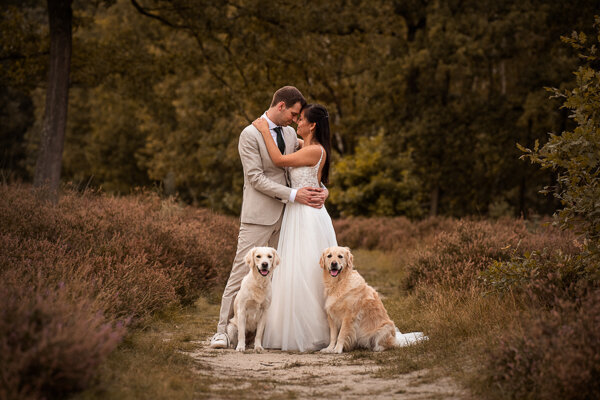 Een fotoshoot na jullie huwelijk met een ontspannen sfeer en met jullie hond