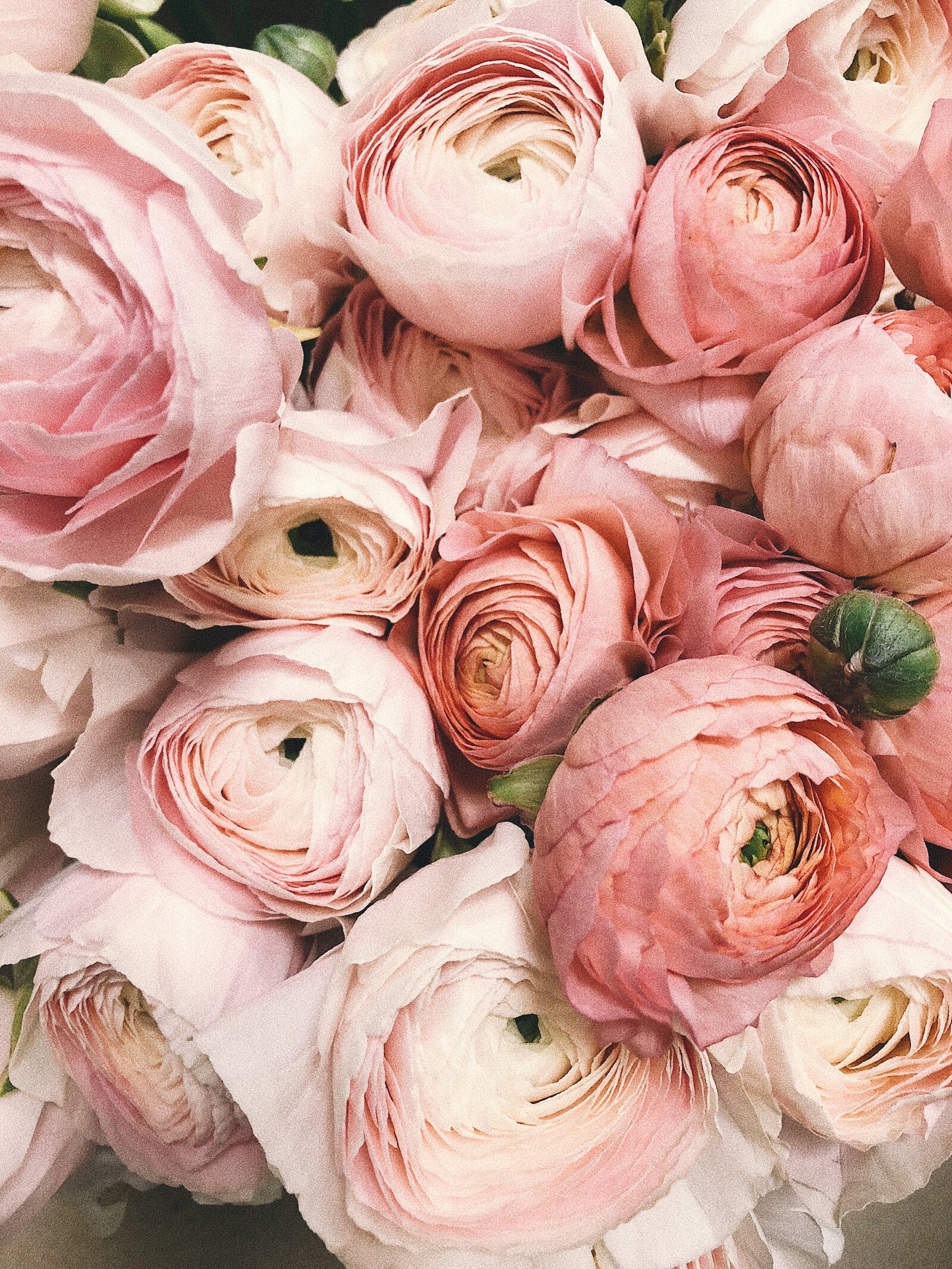 Shot of Bride's Floral Arrangement