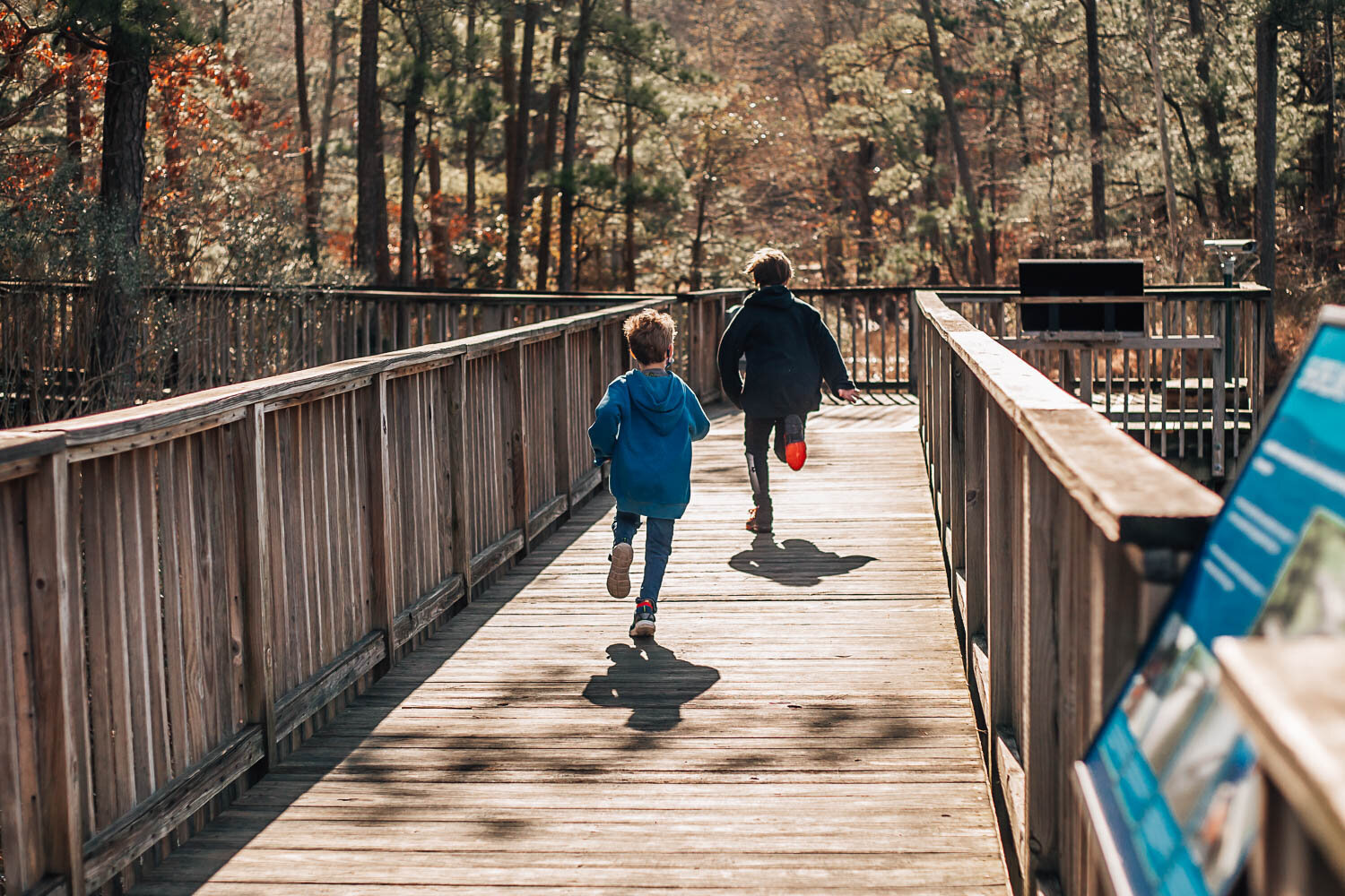 two children running on a wooden dock at the Norfolk Aquarium in the fall for their family photos captured by Hampton Roads family and children photographer