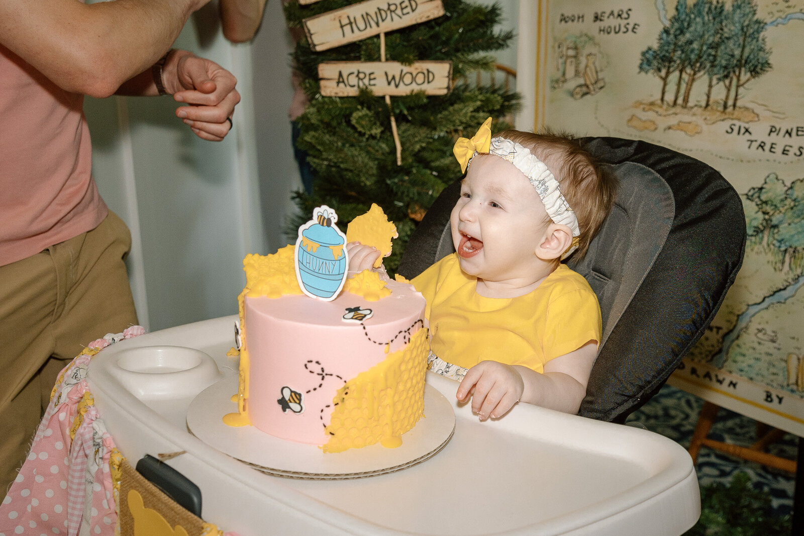 winnie-the-pooh-smash-cake-party-photography (17)