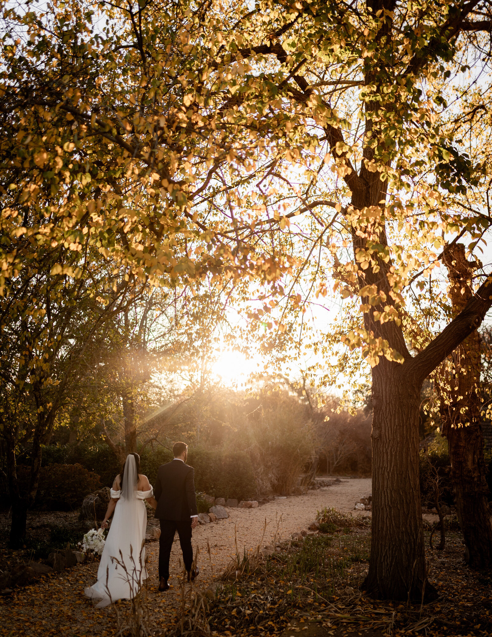 250612-Lucy-Brandon-Rexvil-Photography-Adelaide-Wedding-Photographer-567
